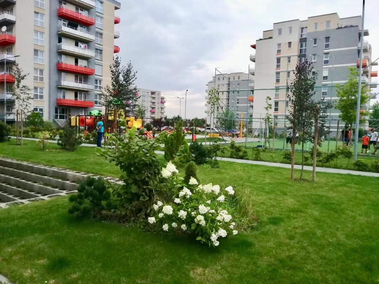 Photo 38