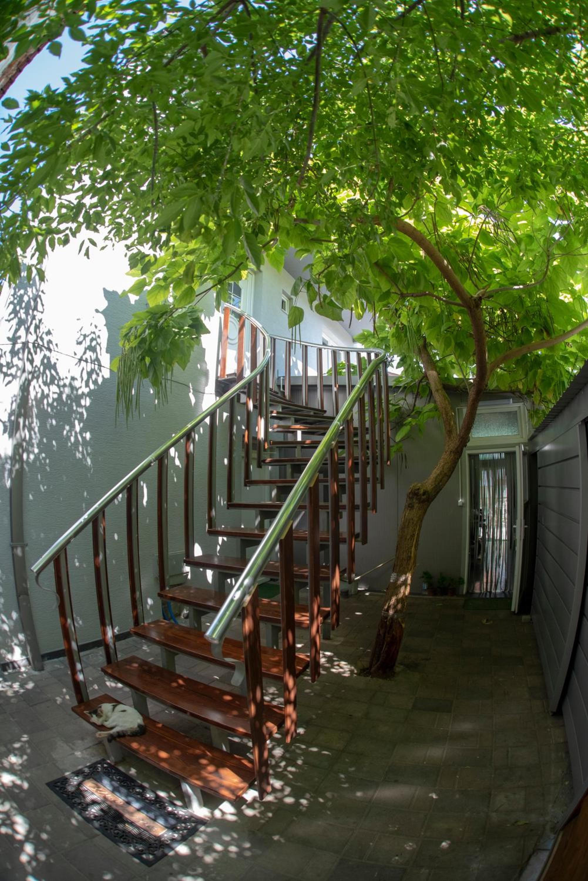 DIONIS Rooms & Apartments, photo 12