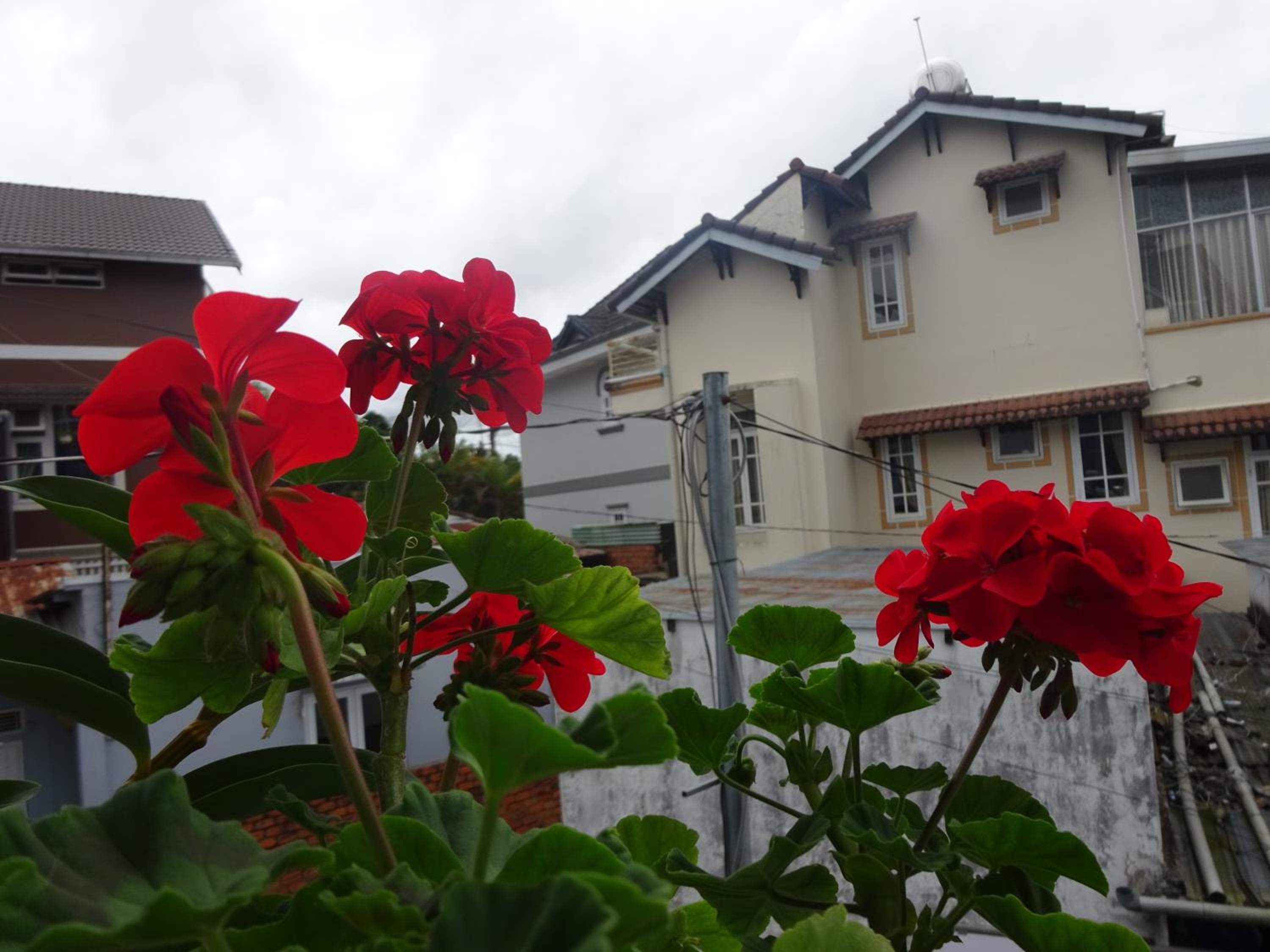 Photo 22