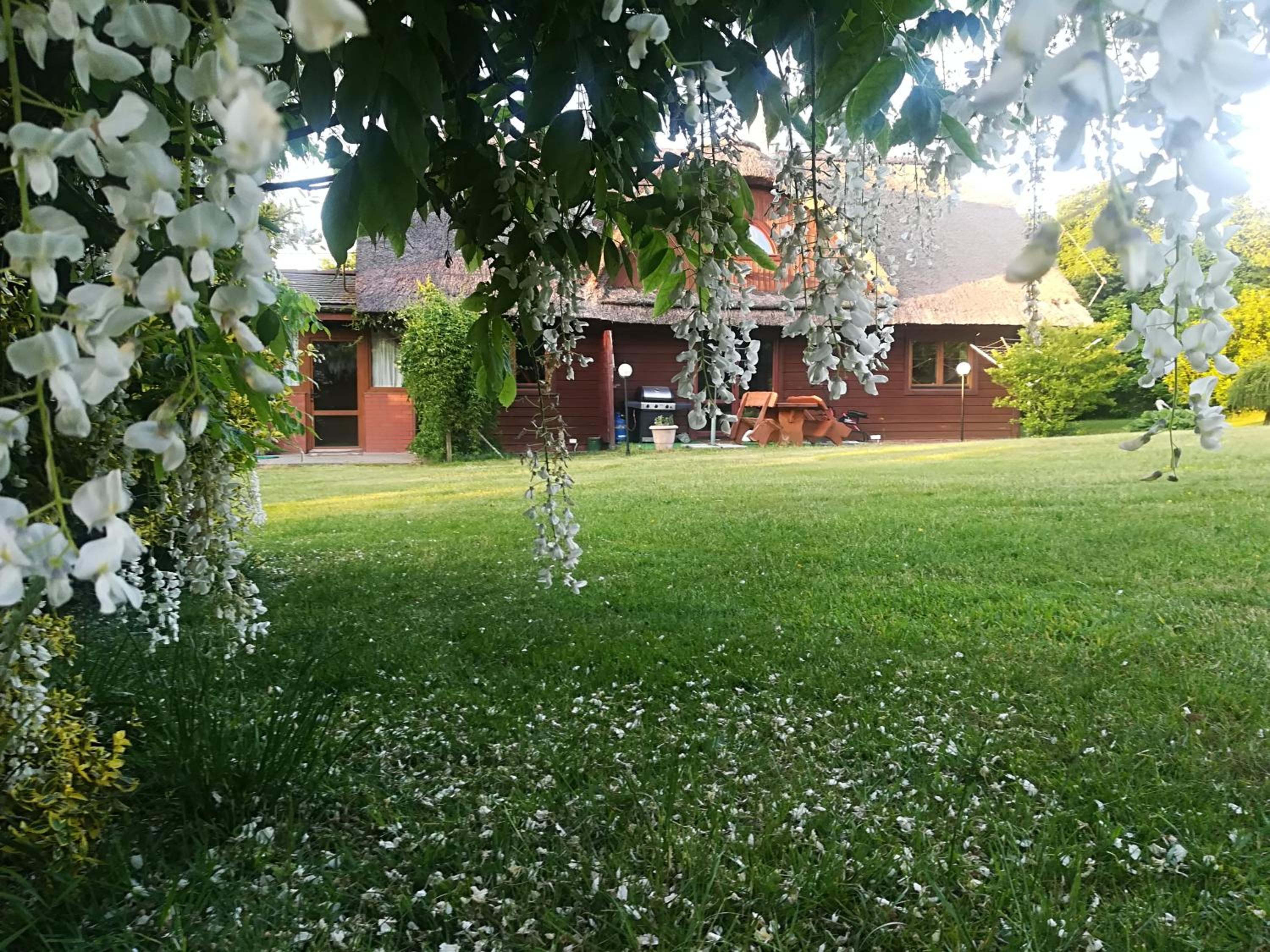 Agroturystyka Józefówka Borkowo Lęborskie view 3