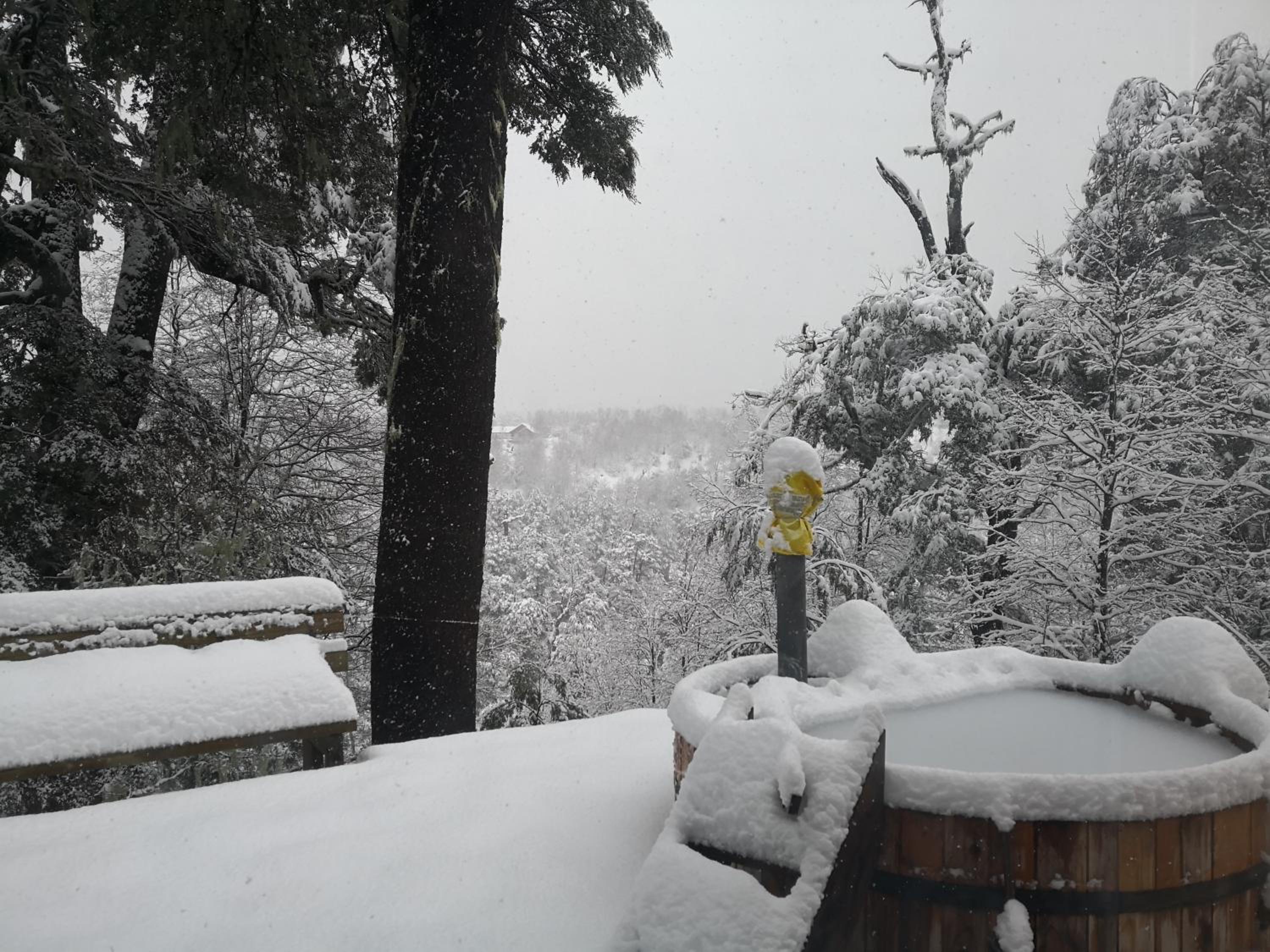 Lodge Palguin Alto