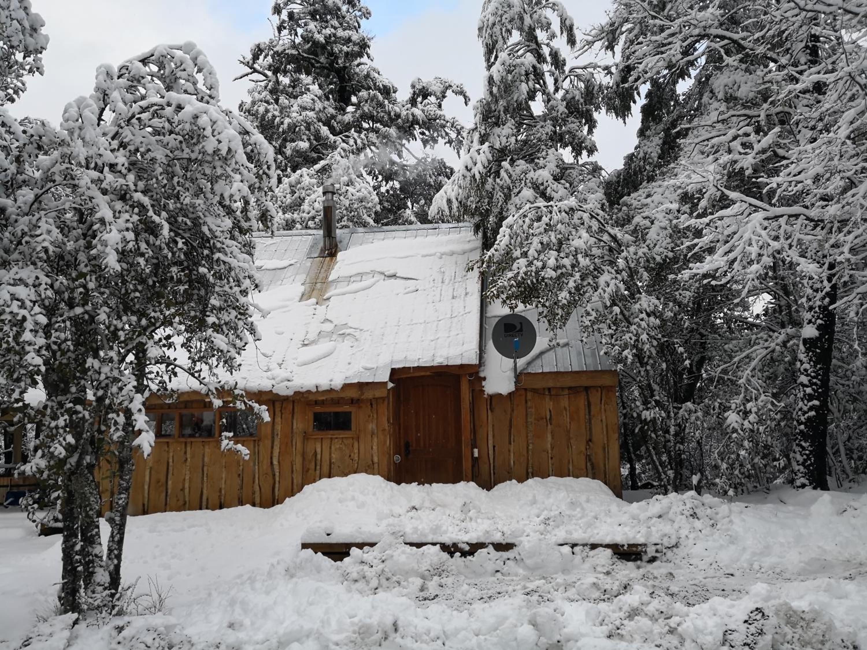 Lodge Palguin Alto