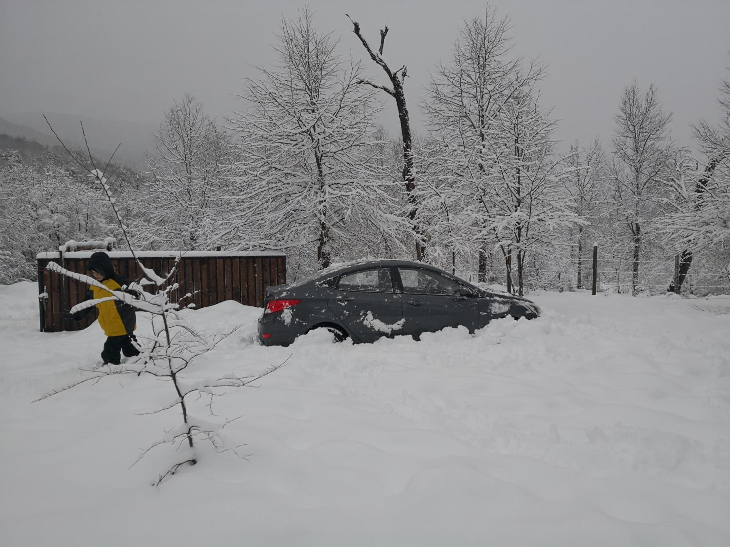 Lodge Palguin Alto
