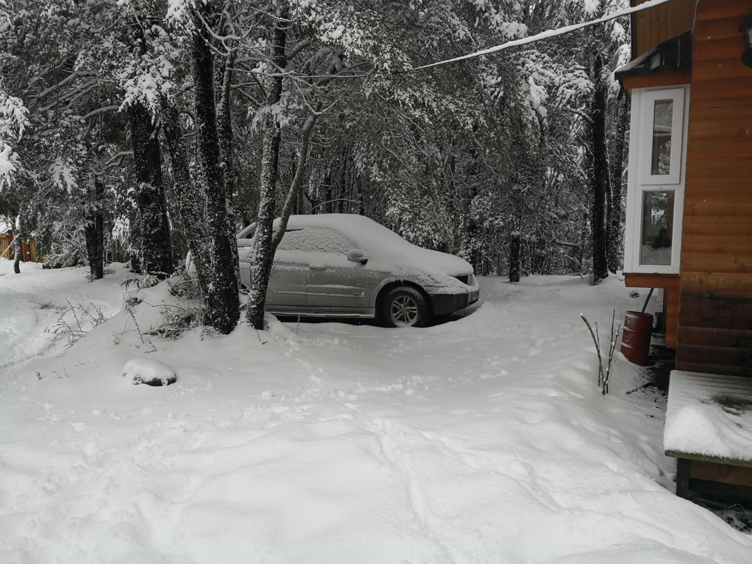 Lodge Palguin Alto