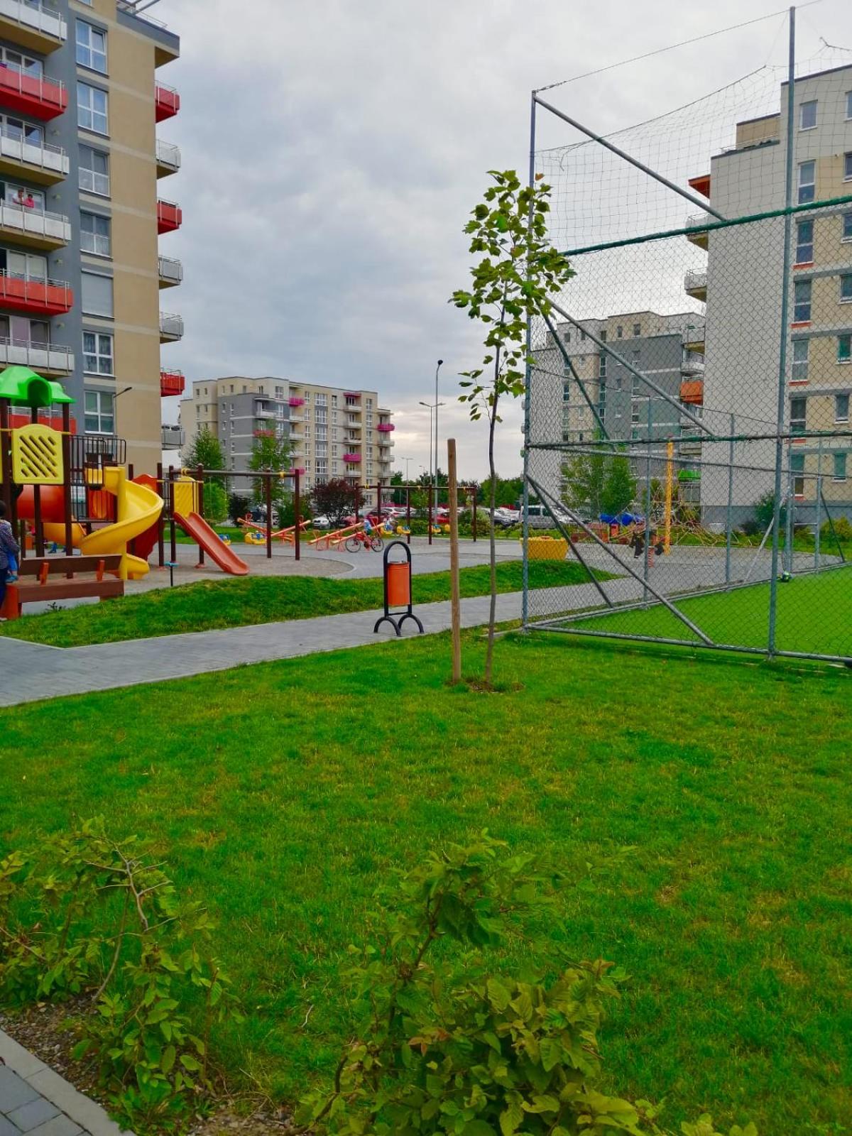 Photo 37