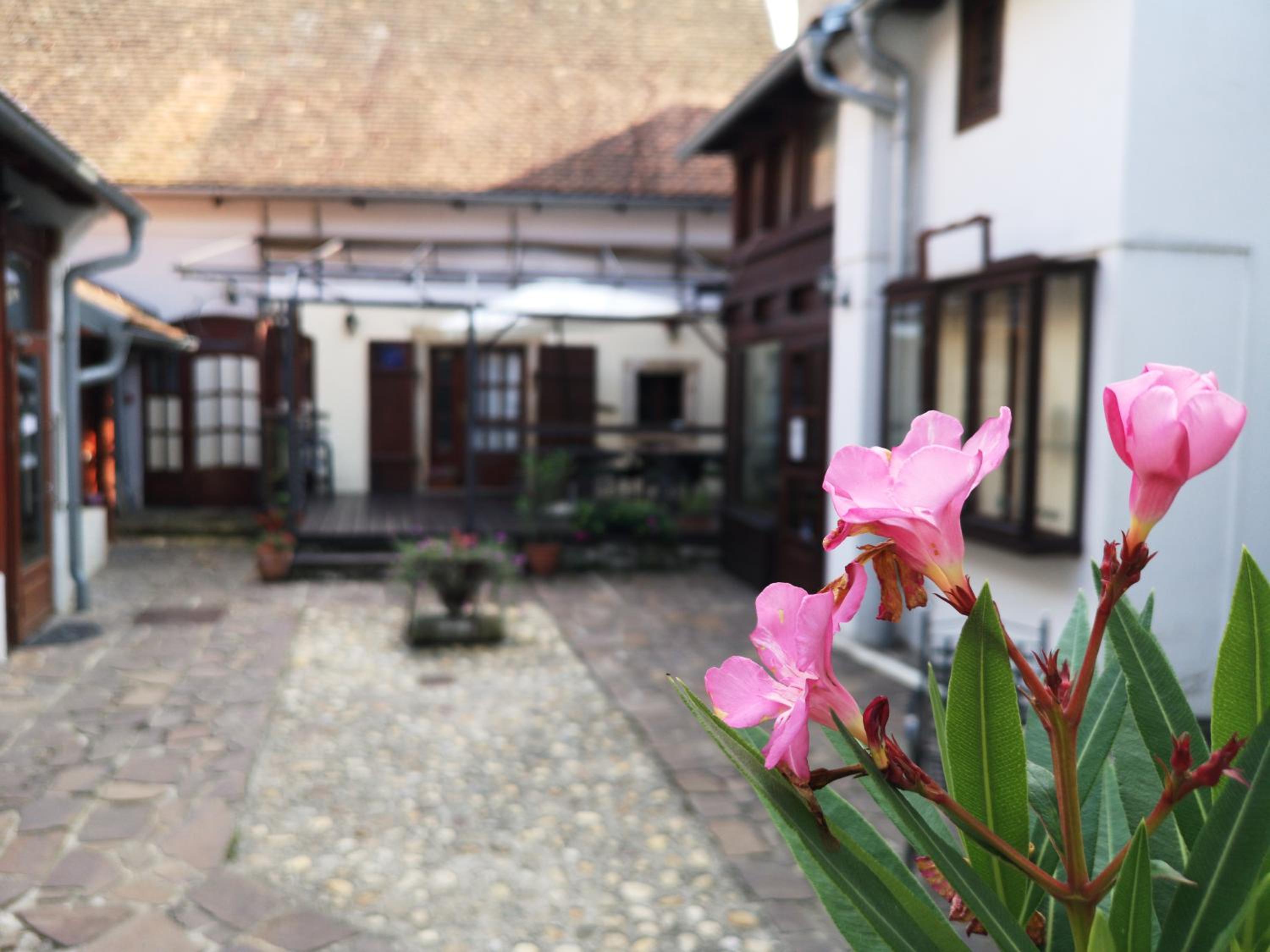 Hotel Apartman Korzo - Image 1