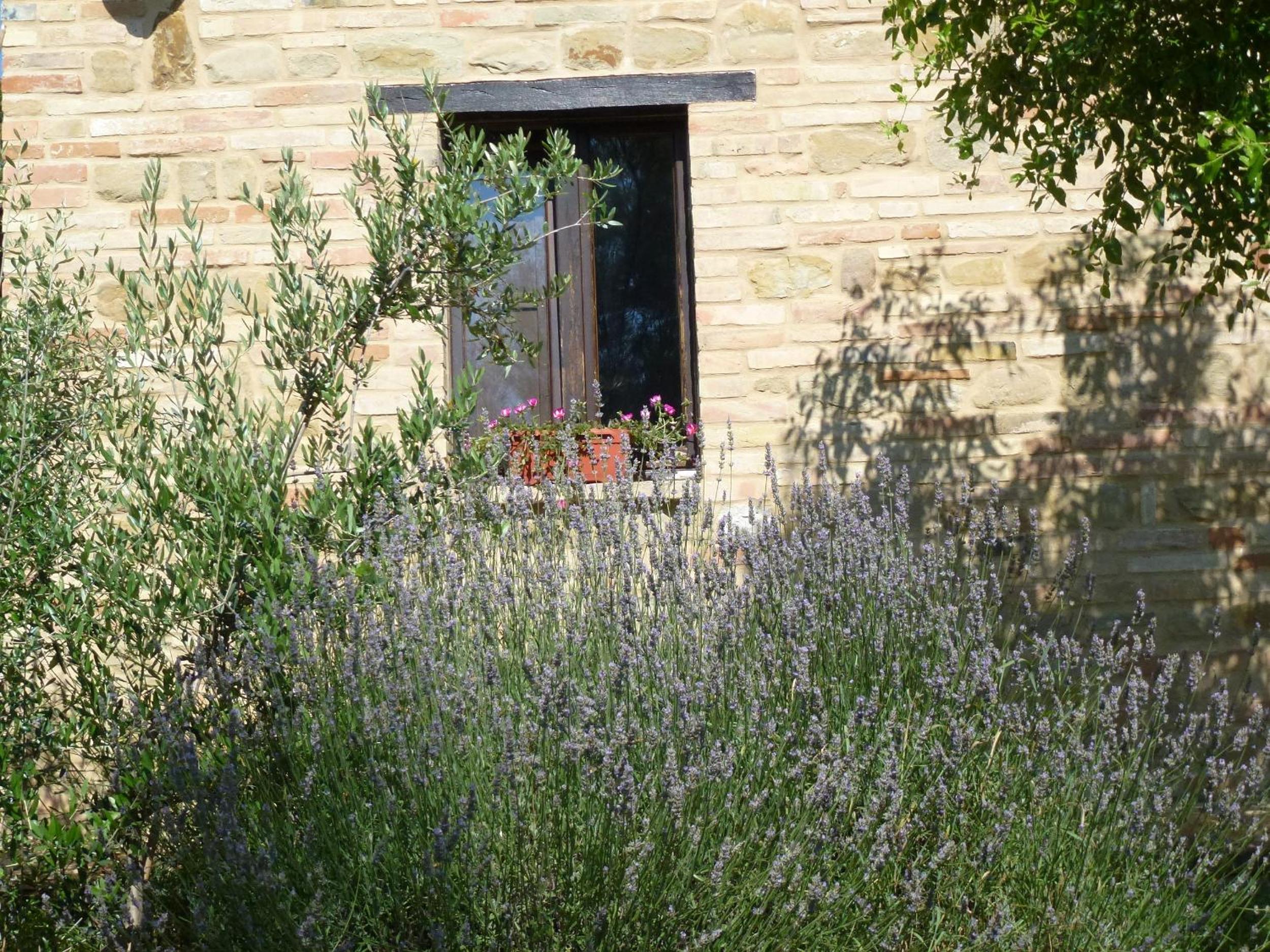 Il Casale di Aurora Country House view 5