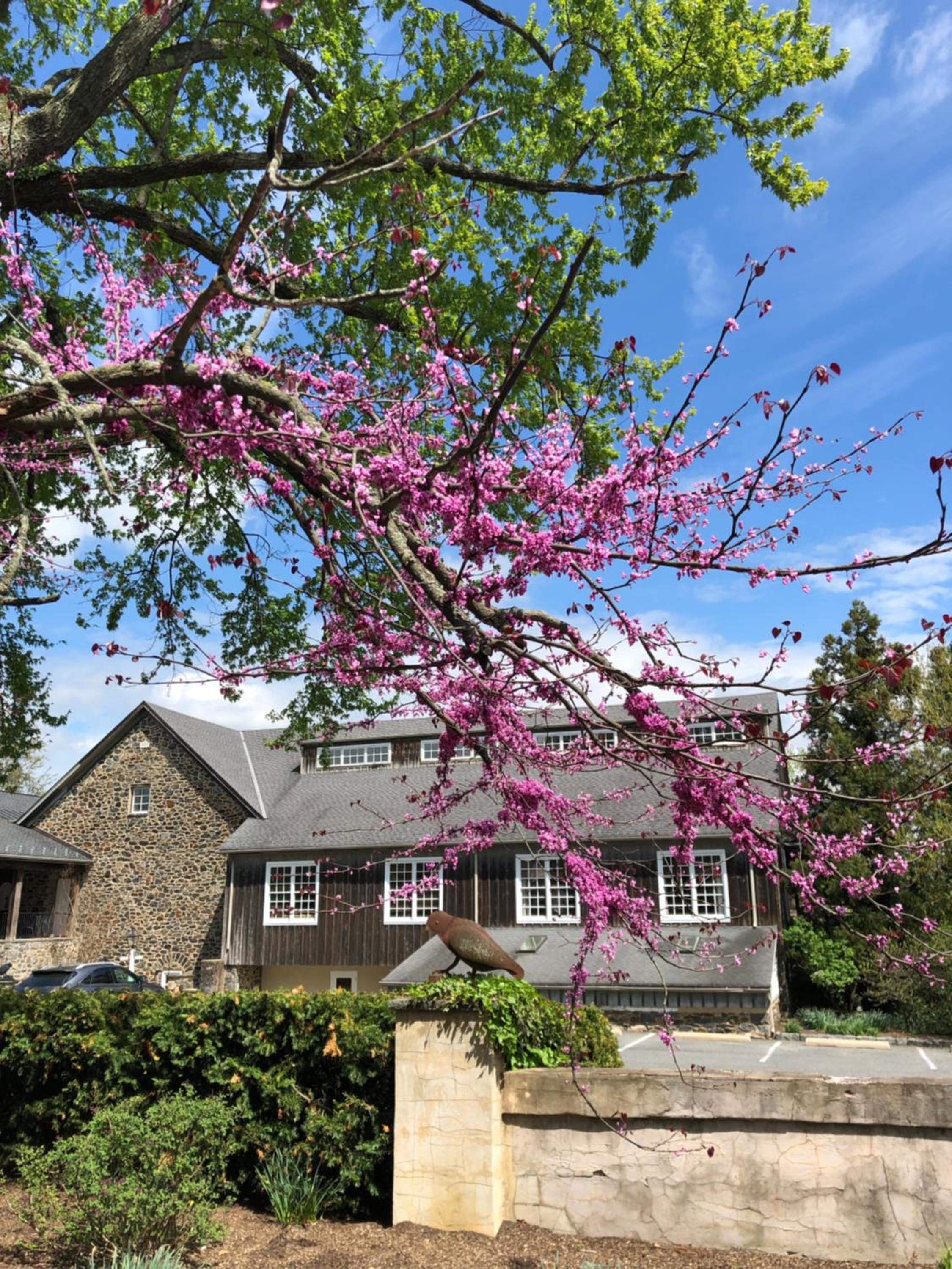 The Inn at Montchanin Village  Spa - Property Image 66