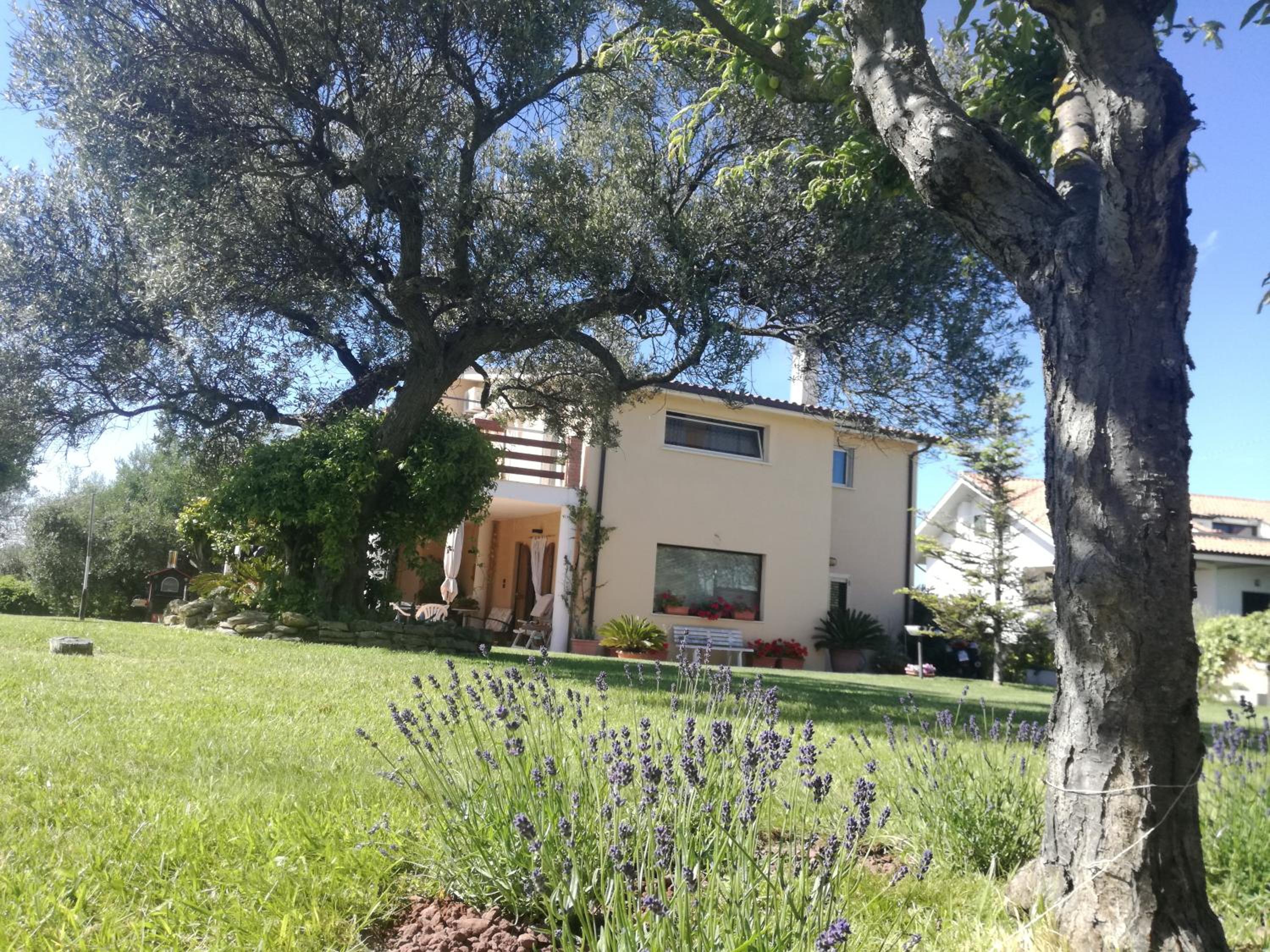 Photo 19