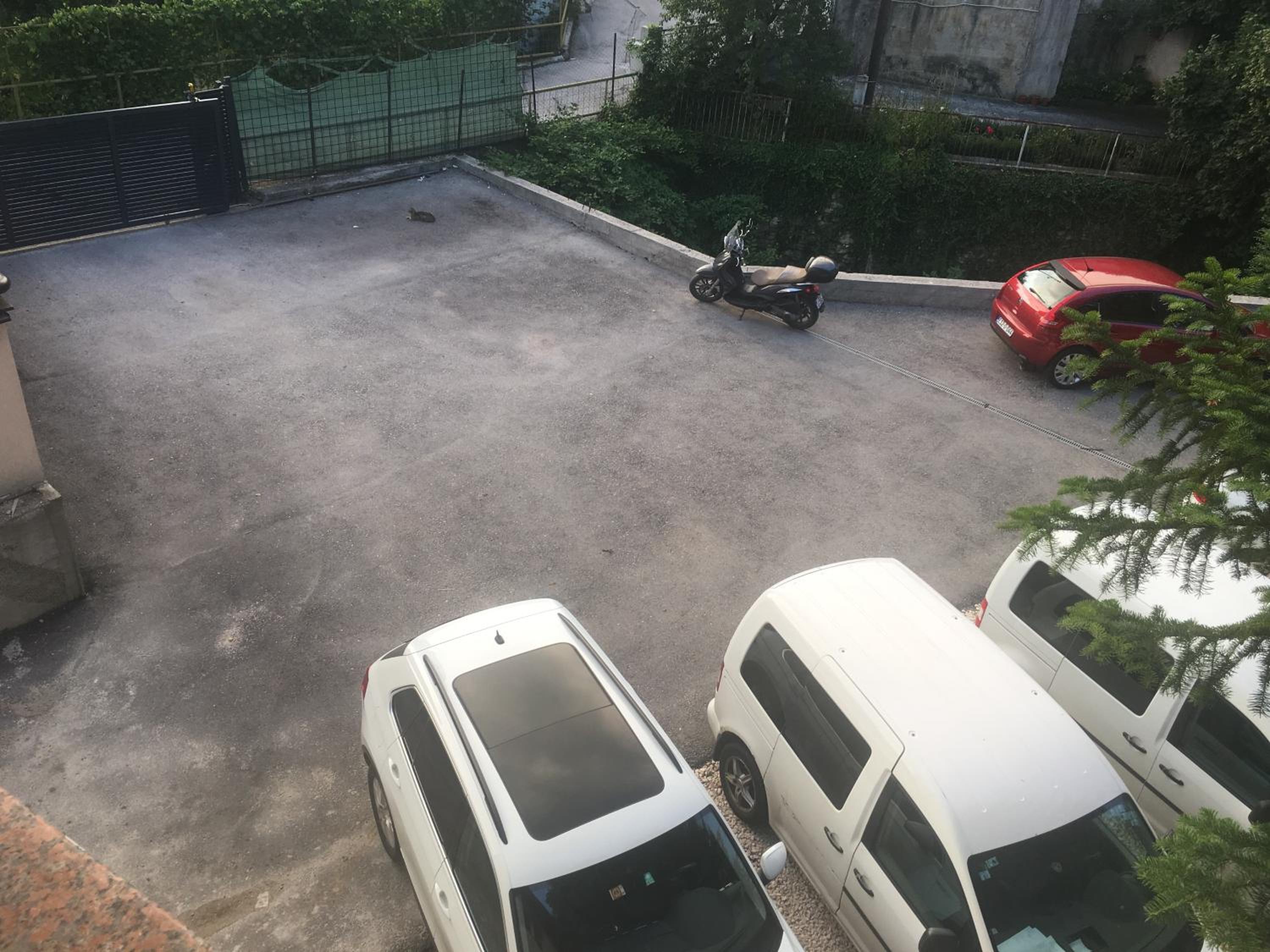 Apartment Green