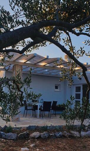 Peaceful home Olea oblica view 5
