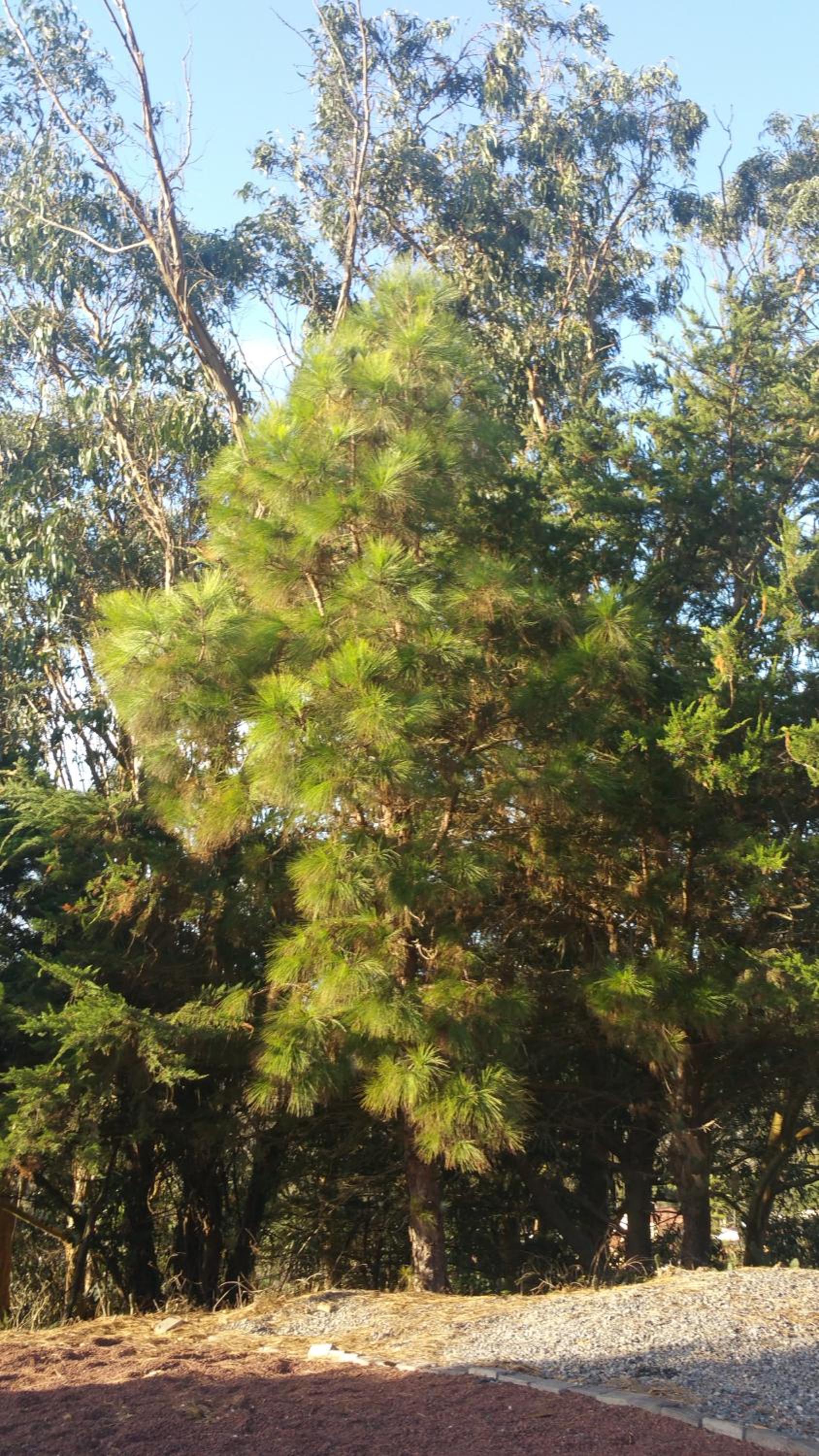 Photo 48