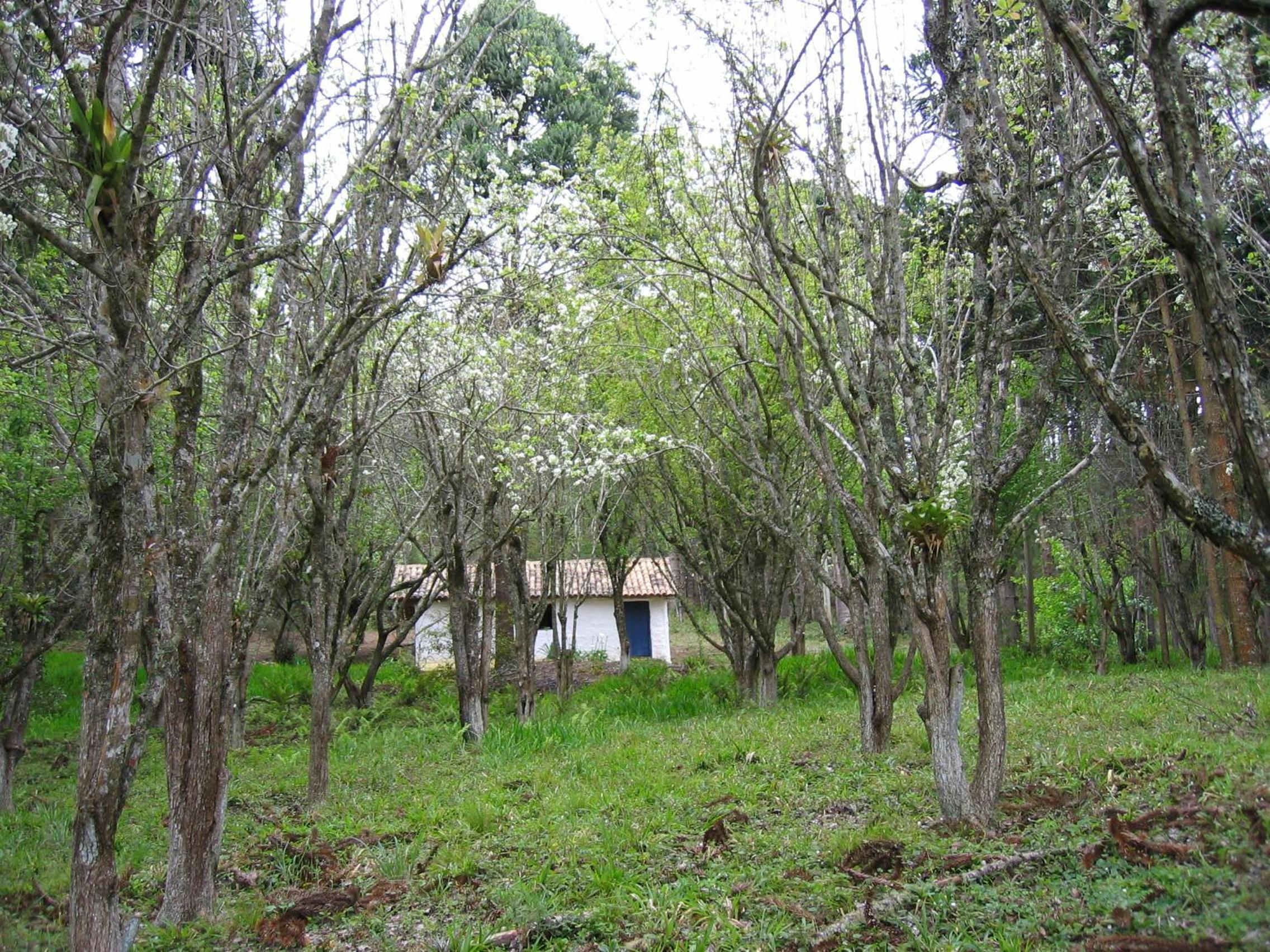 Photo 44