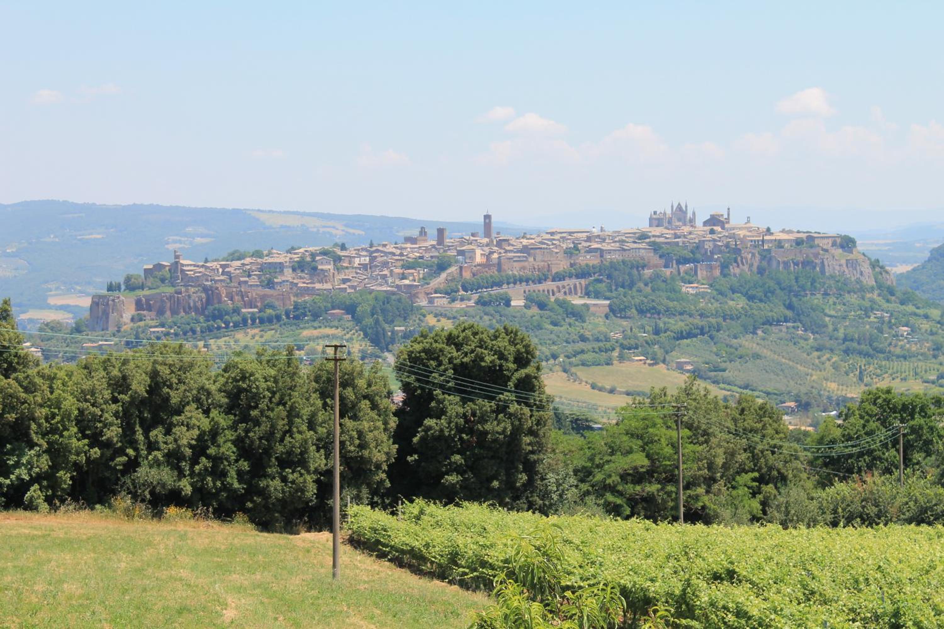 Agriturismo Borgo Pirolino view 4