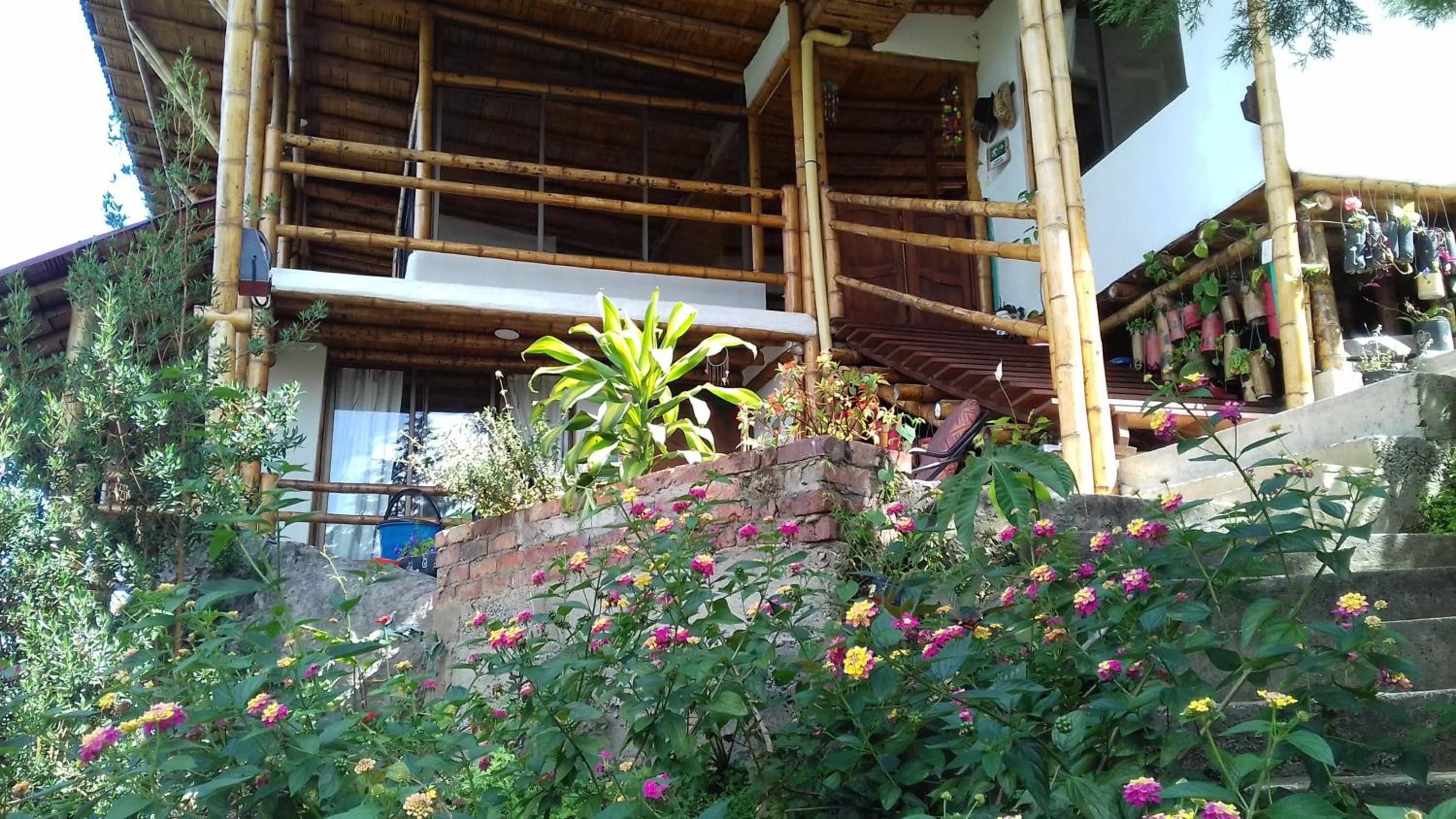 Photo 8