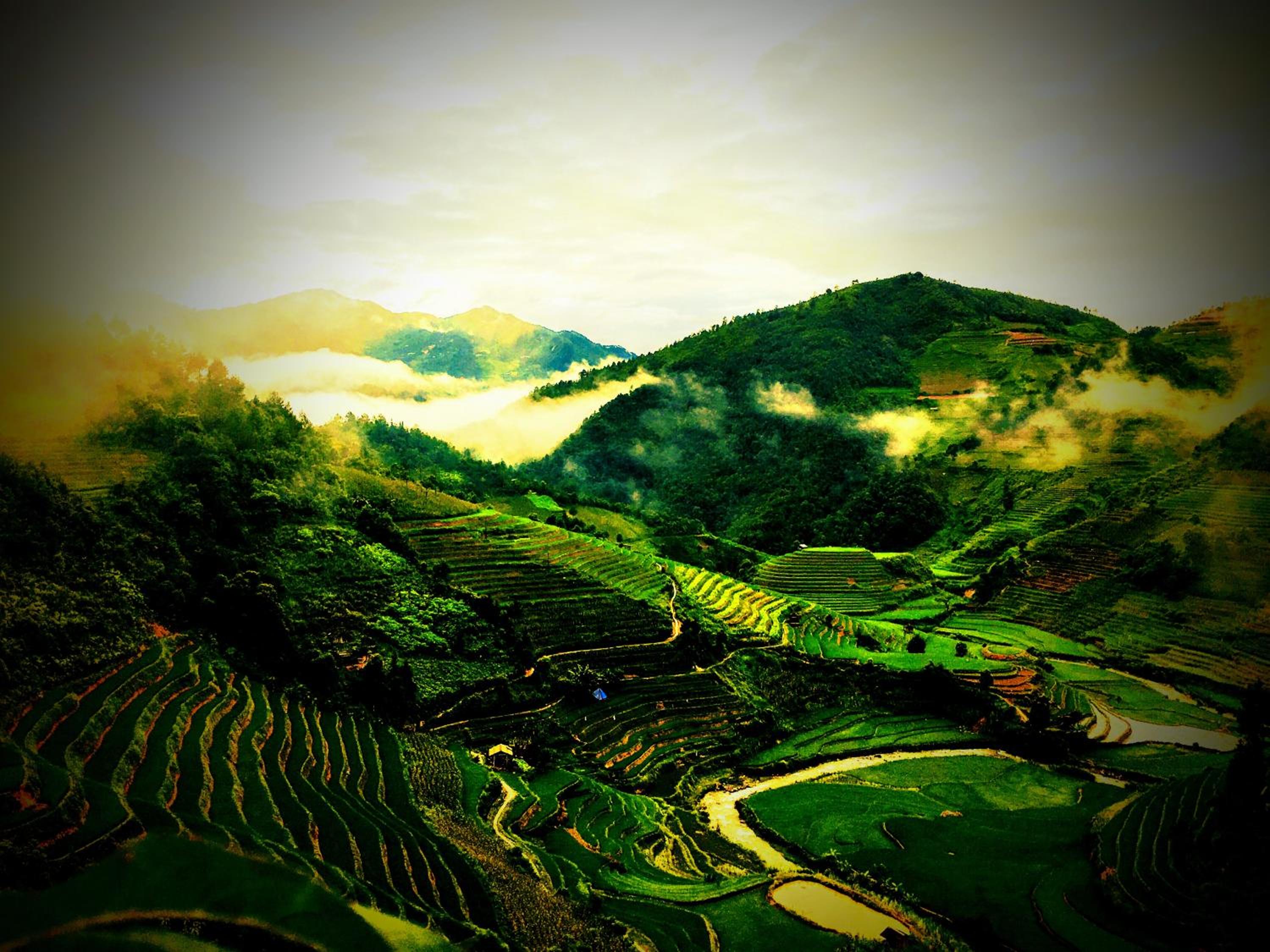 Hello Mu Cang Chai Homestay & Tours