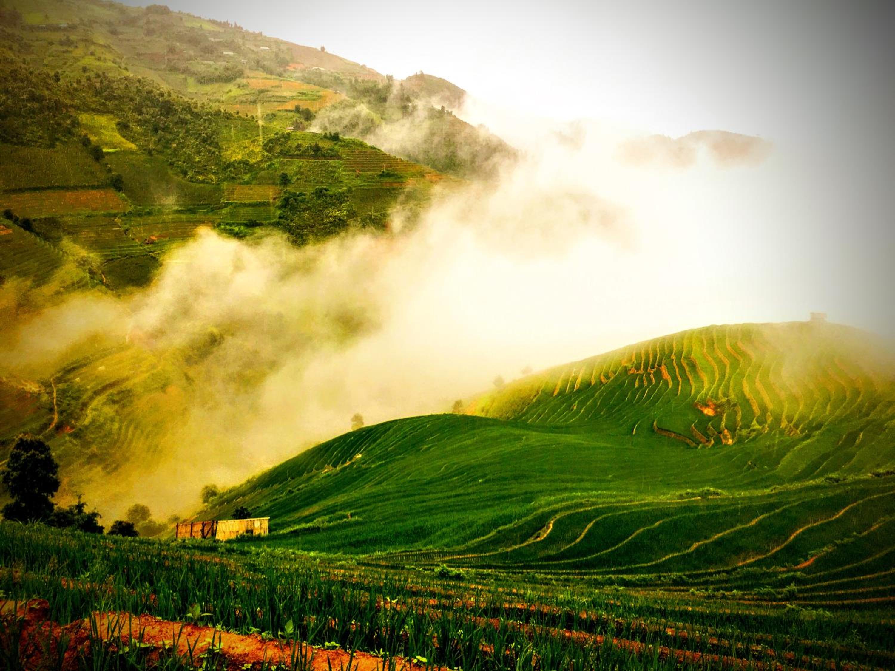 Hello Mu Cang Chai Homestay & Tours