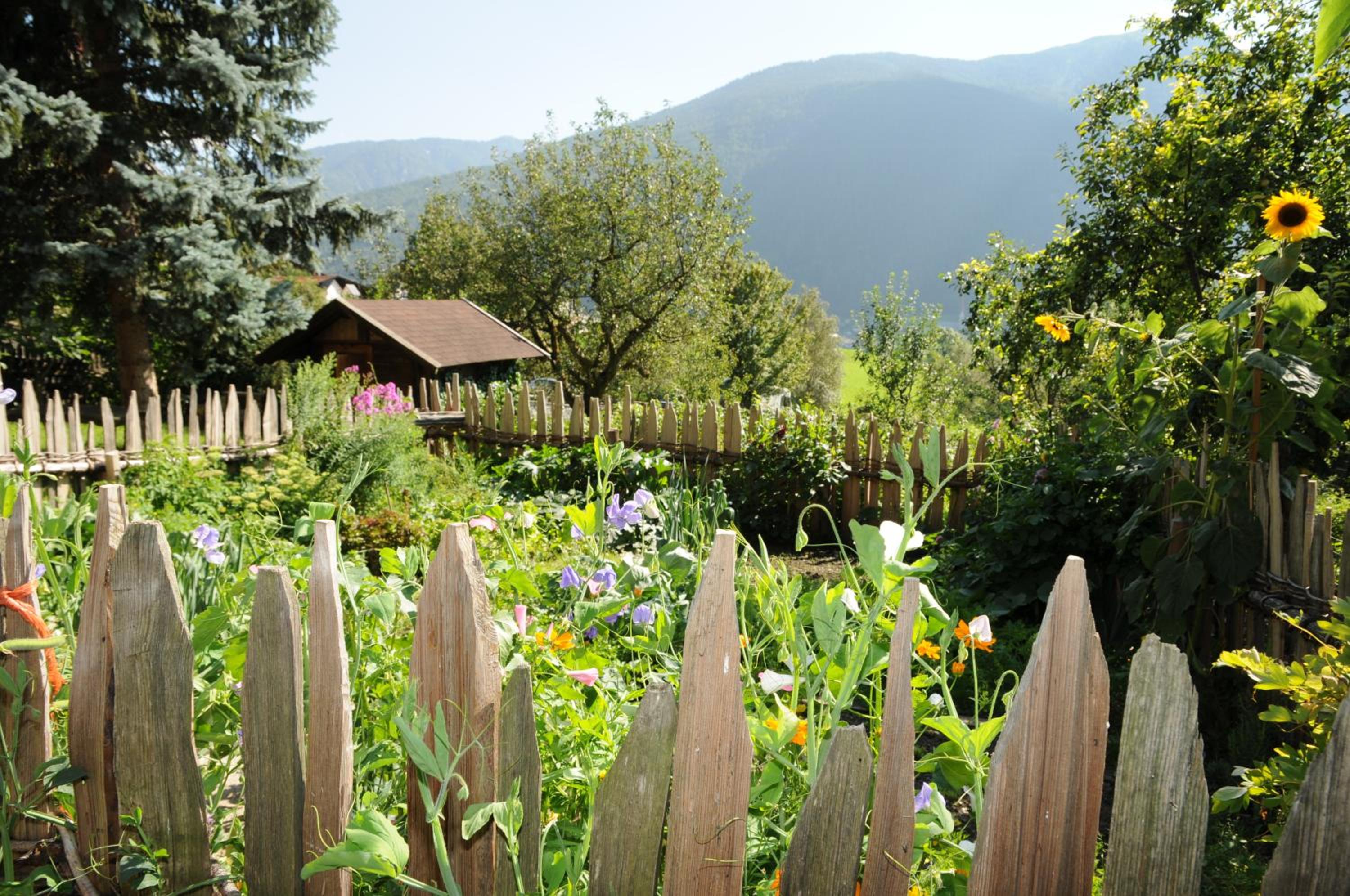 Chalet & Appartement Zingerlehof Trens view 4