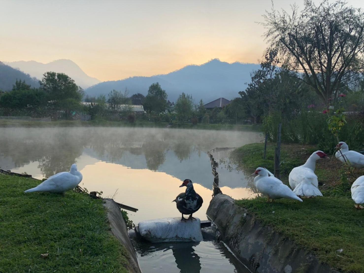 Farmstay at Pai