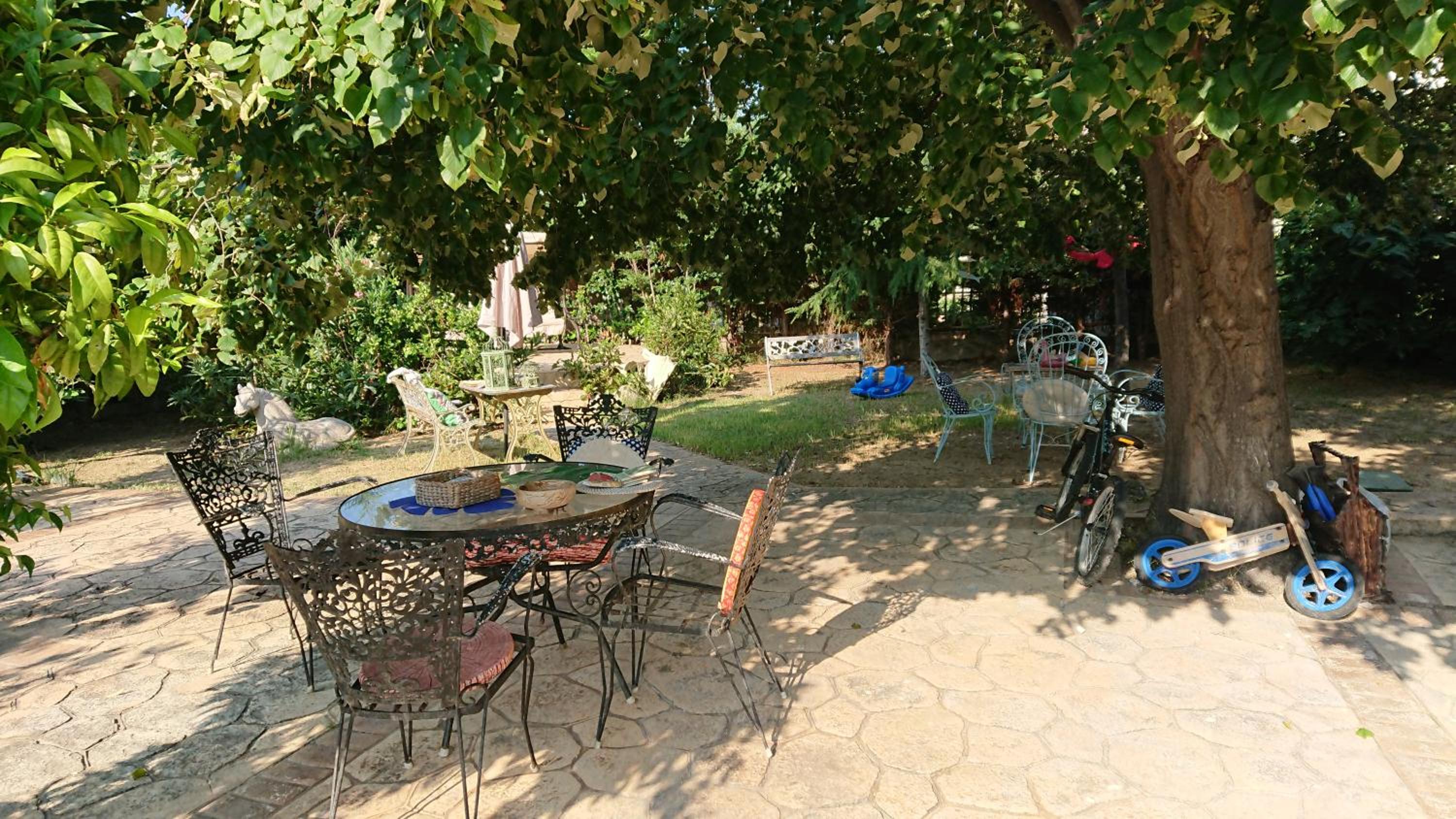 Photo 8