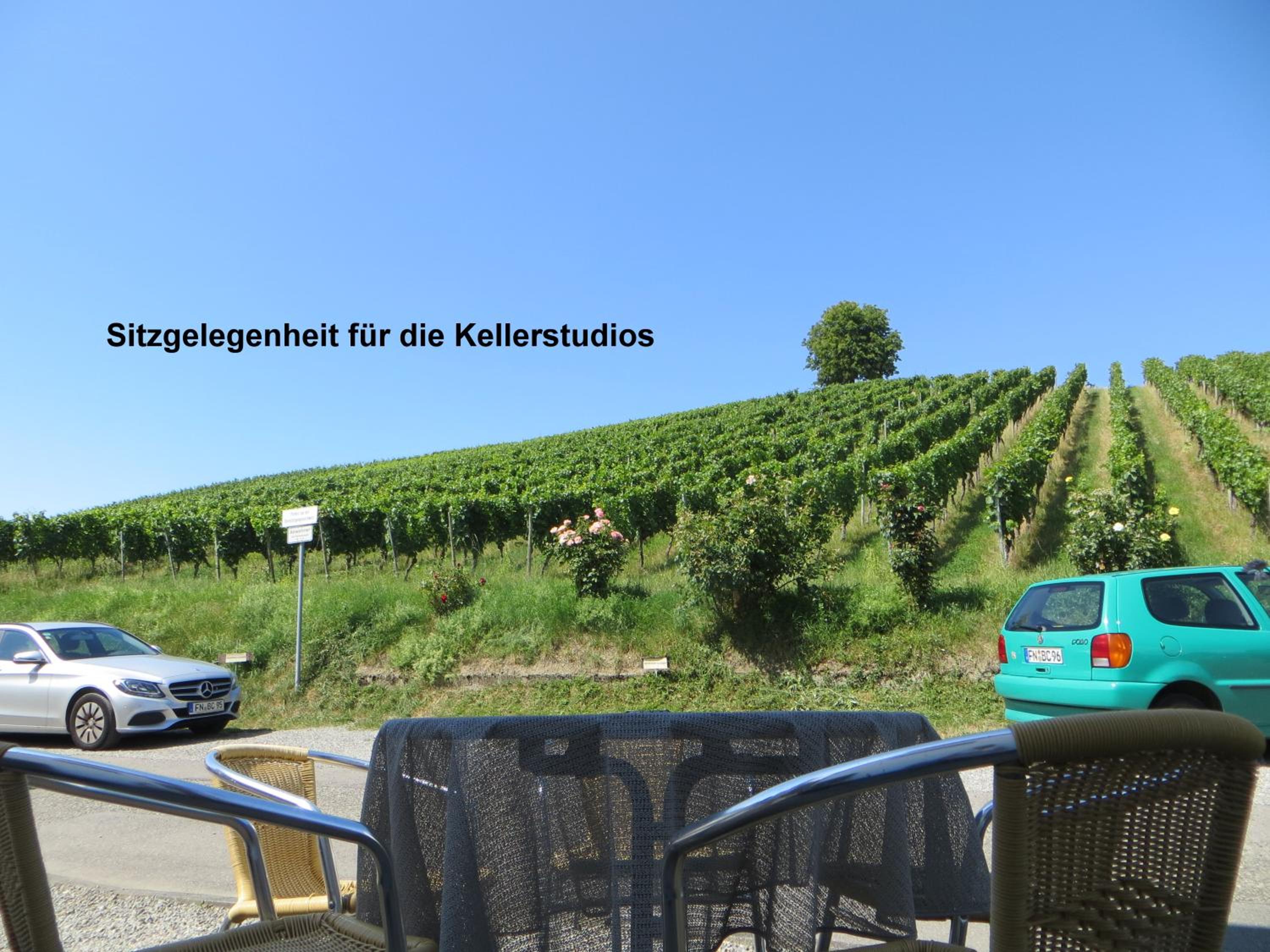 Gästehaus Sommertal, eigener Parkplatz, 800m zum Bodensee, 300m zur Altstadt