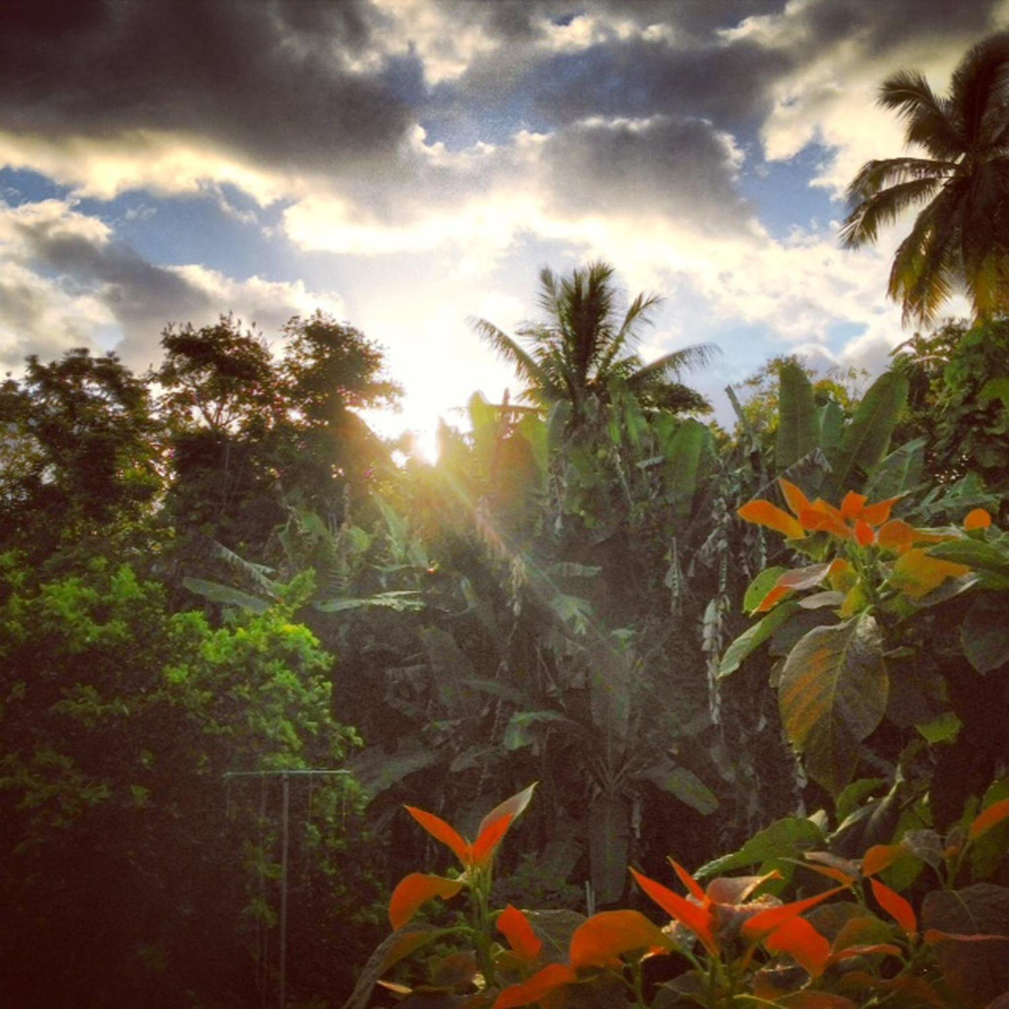 Heavenly Hana Paradise