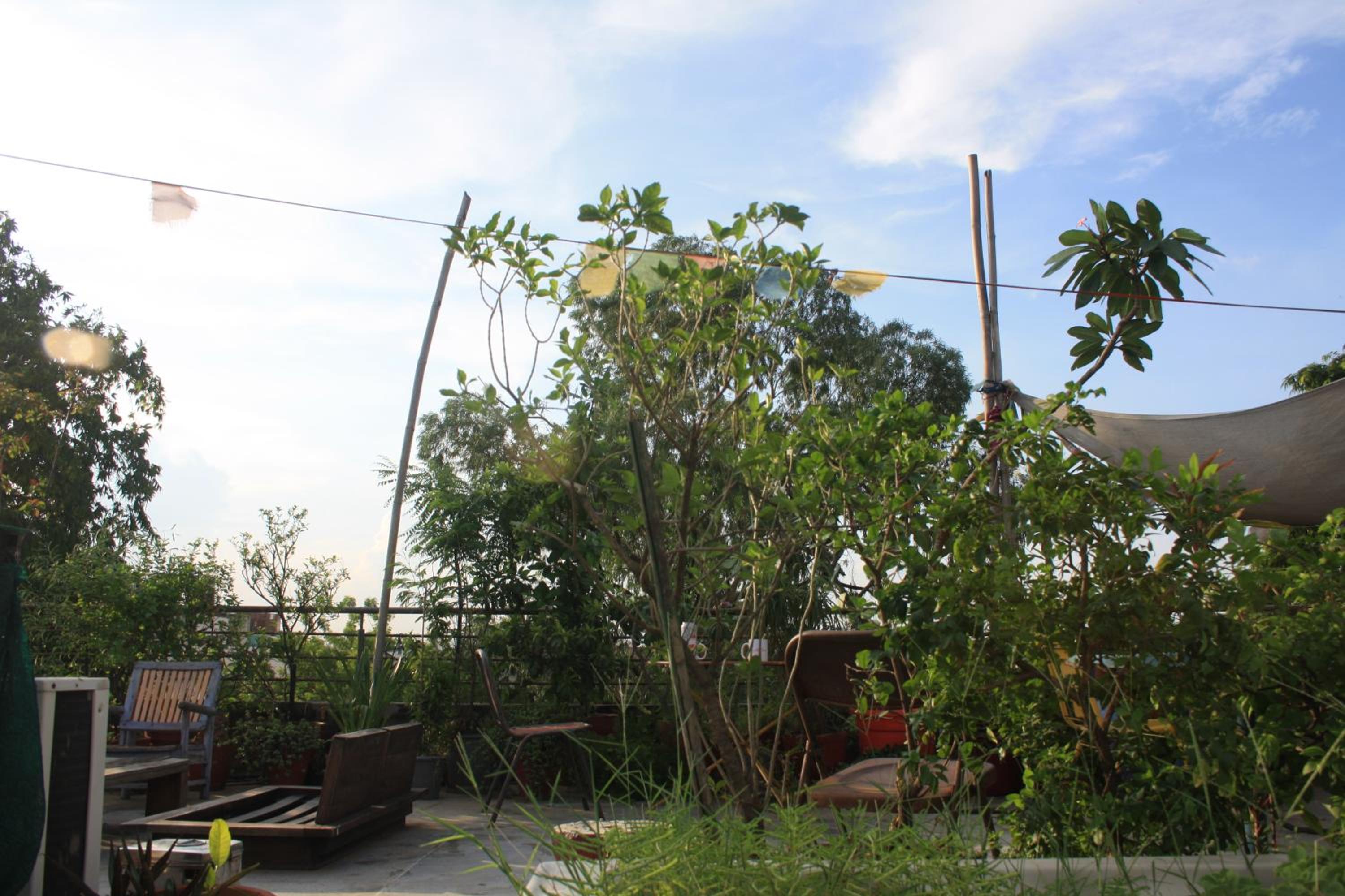 roof