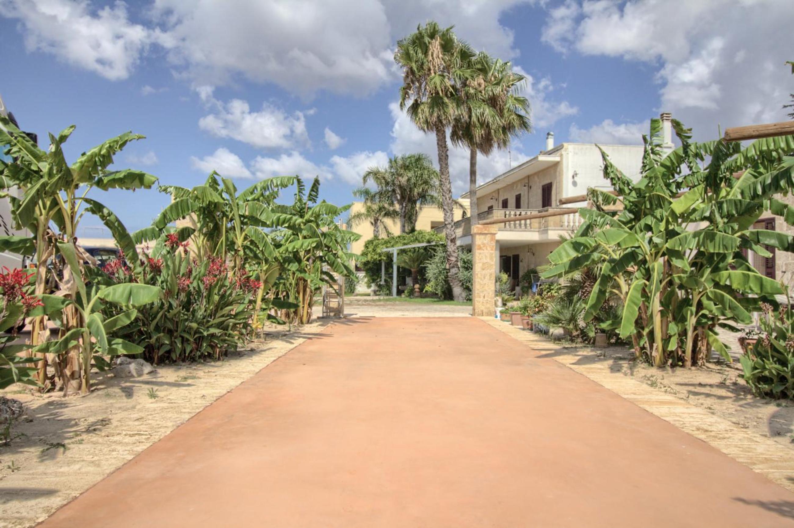 Tenuta De Masi by LoveSud view 3