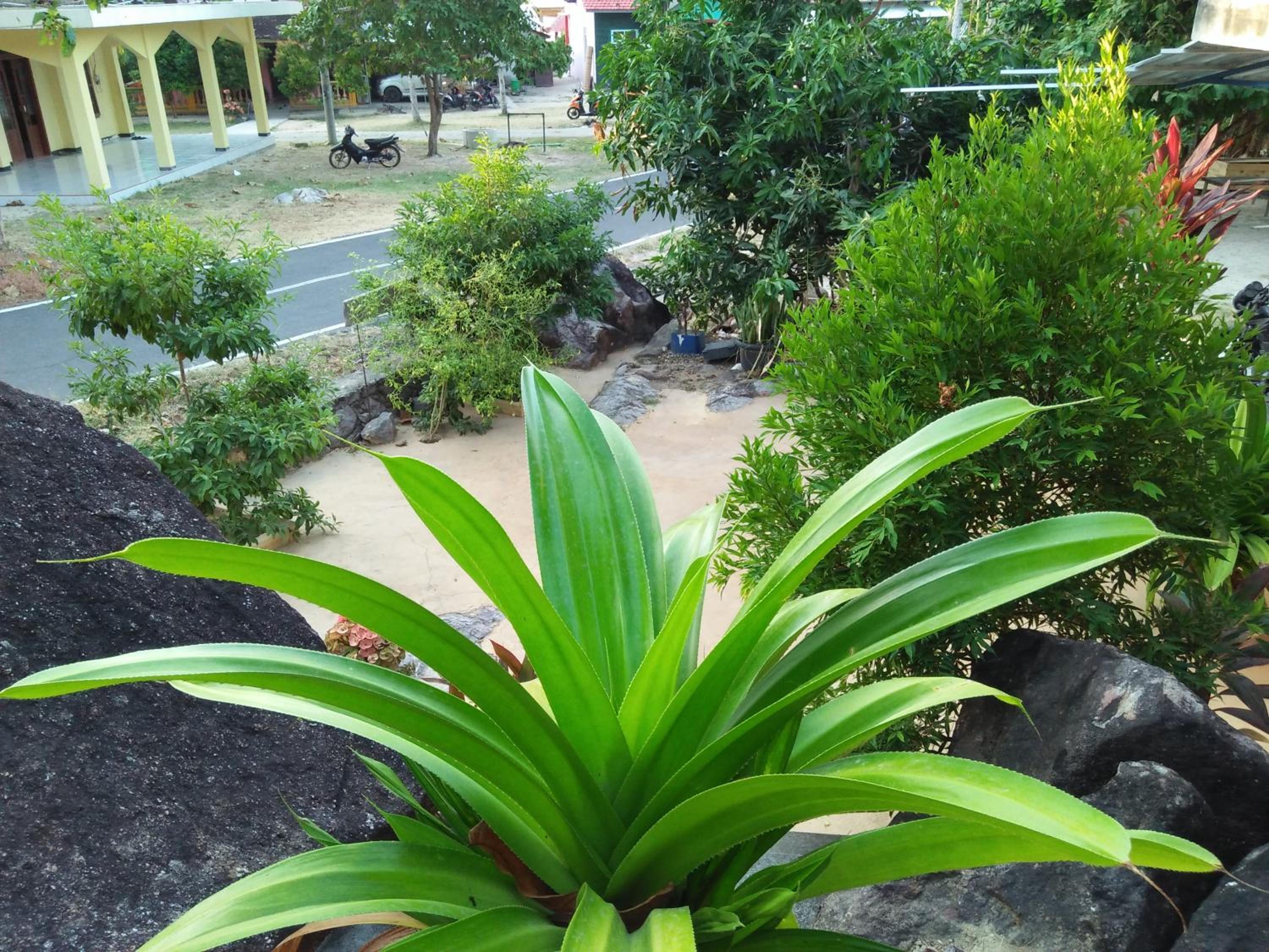 Setia Homestay