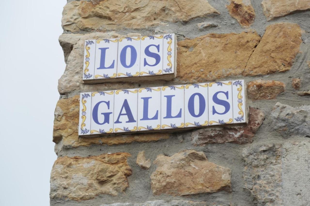 Los Gallos view 5