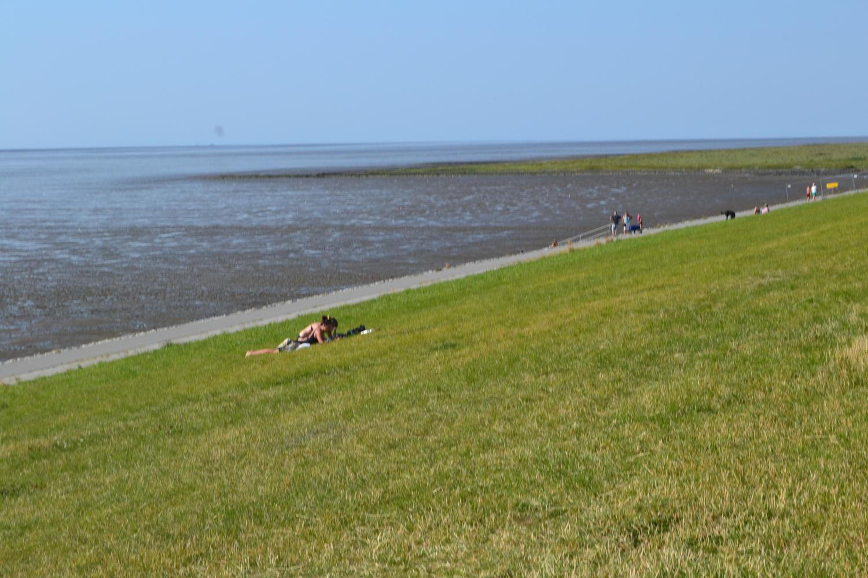 Photo 40