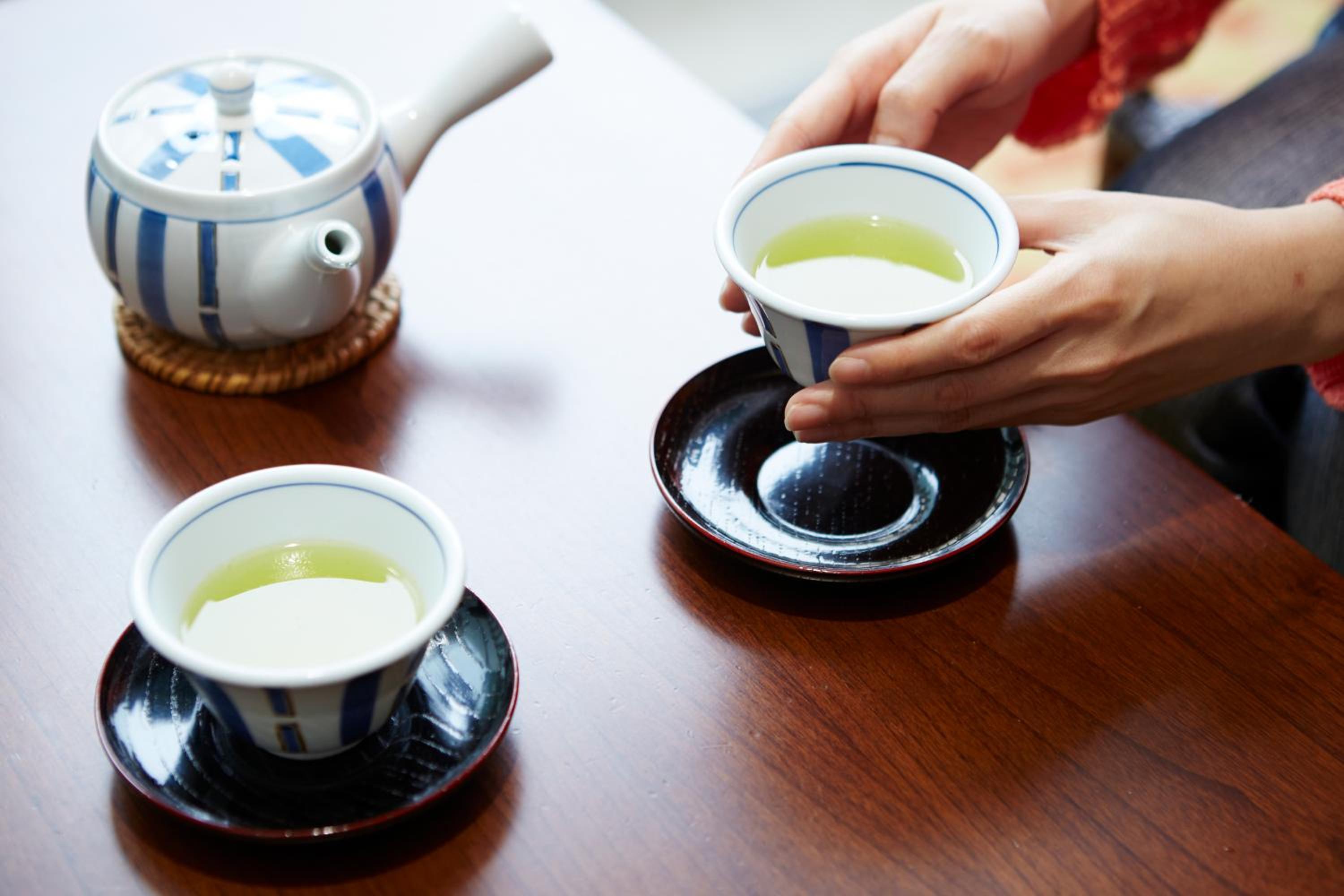 Kinugawa Onsen Hotel
