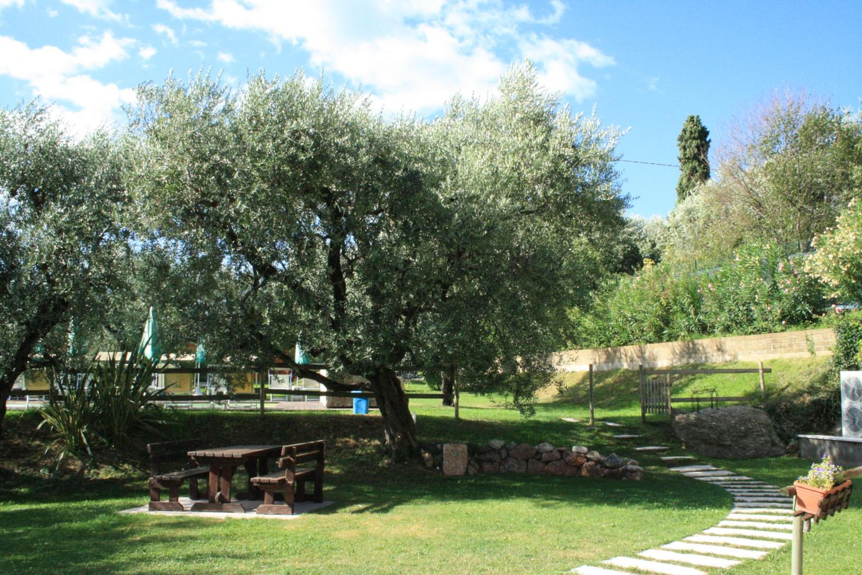 Photo 41