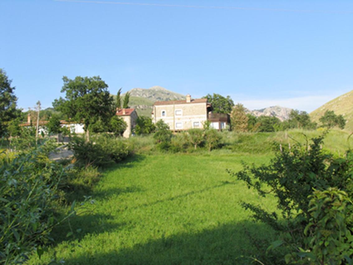 Azienda Agricola Il Querceto