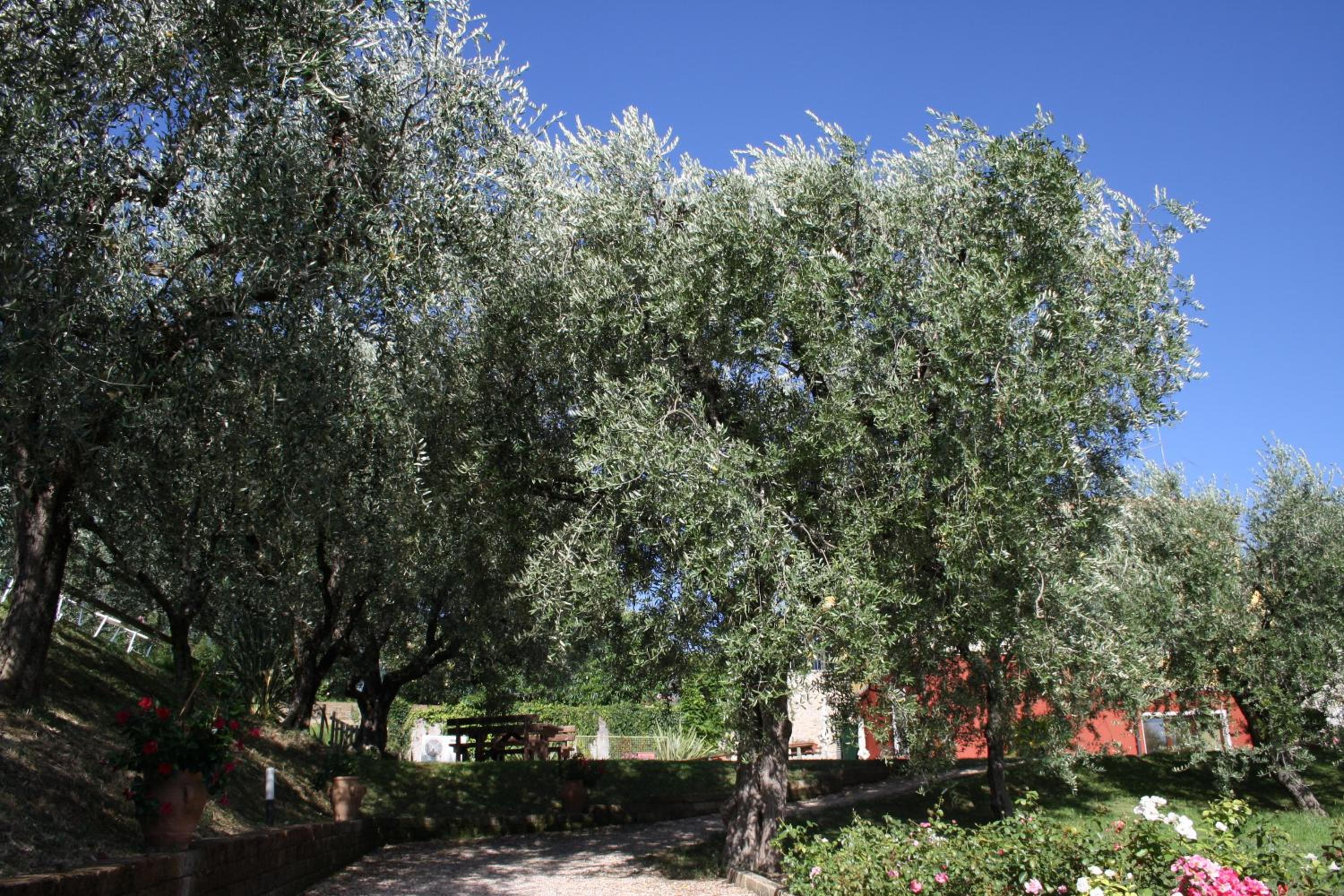 Photo 40