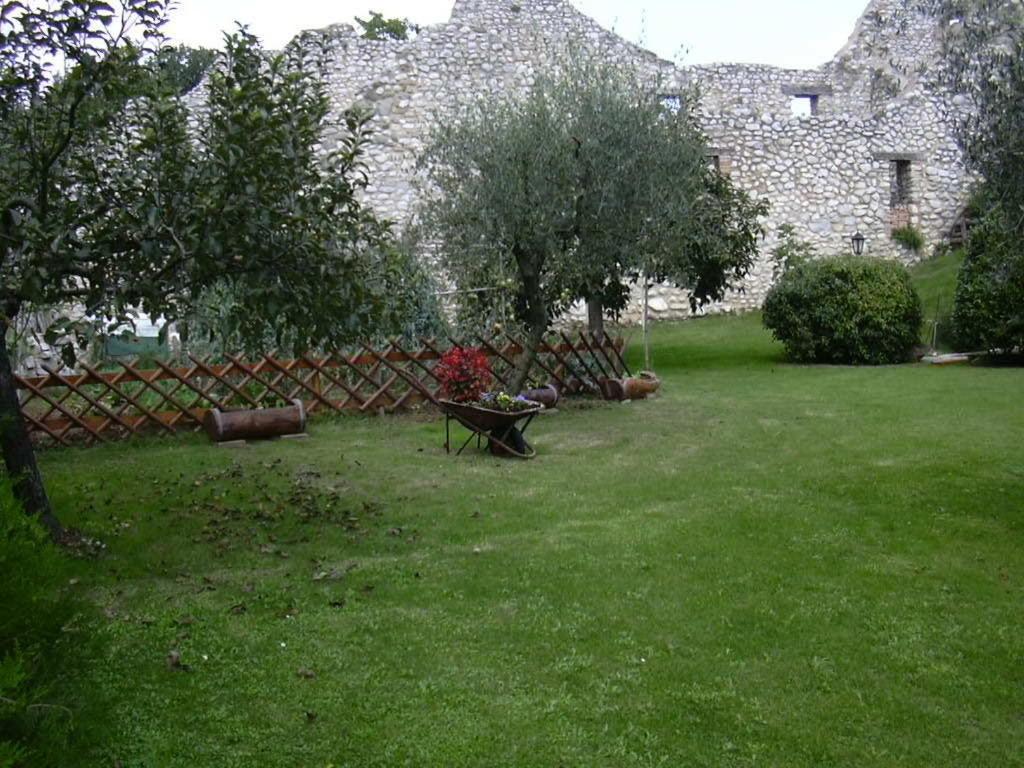 Photo 20