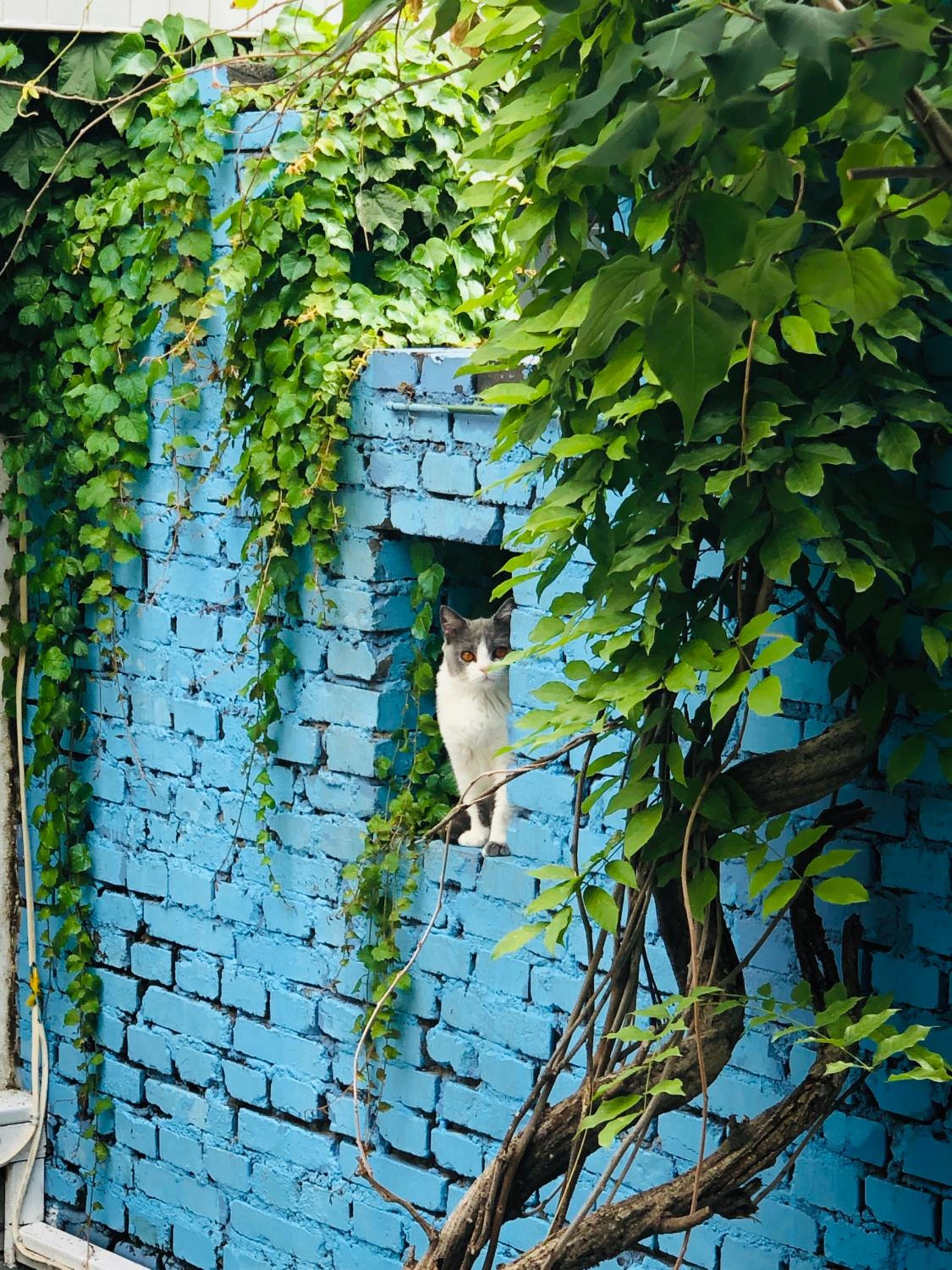 The Great Wall Box House - Beijing