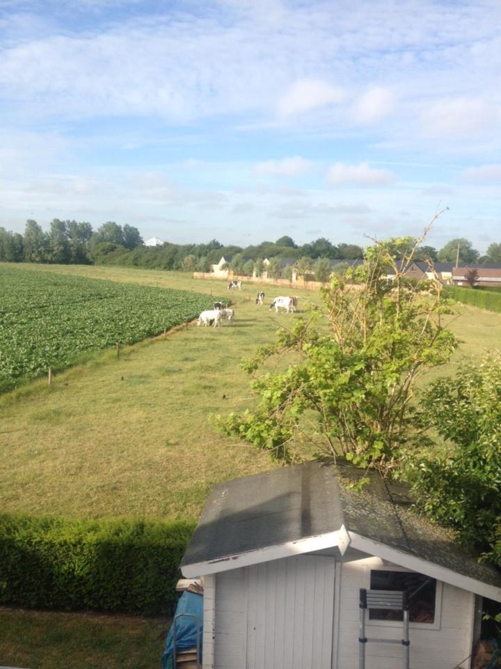 Vakantiehuis in modern begijnhof, 7 min van strand