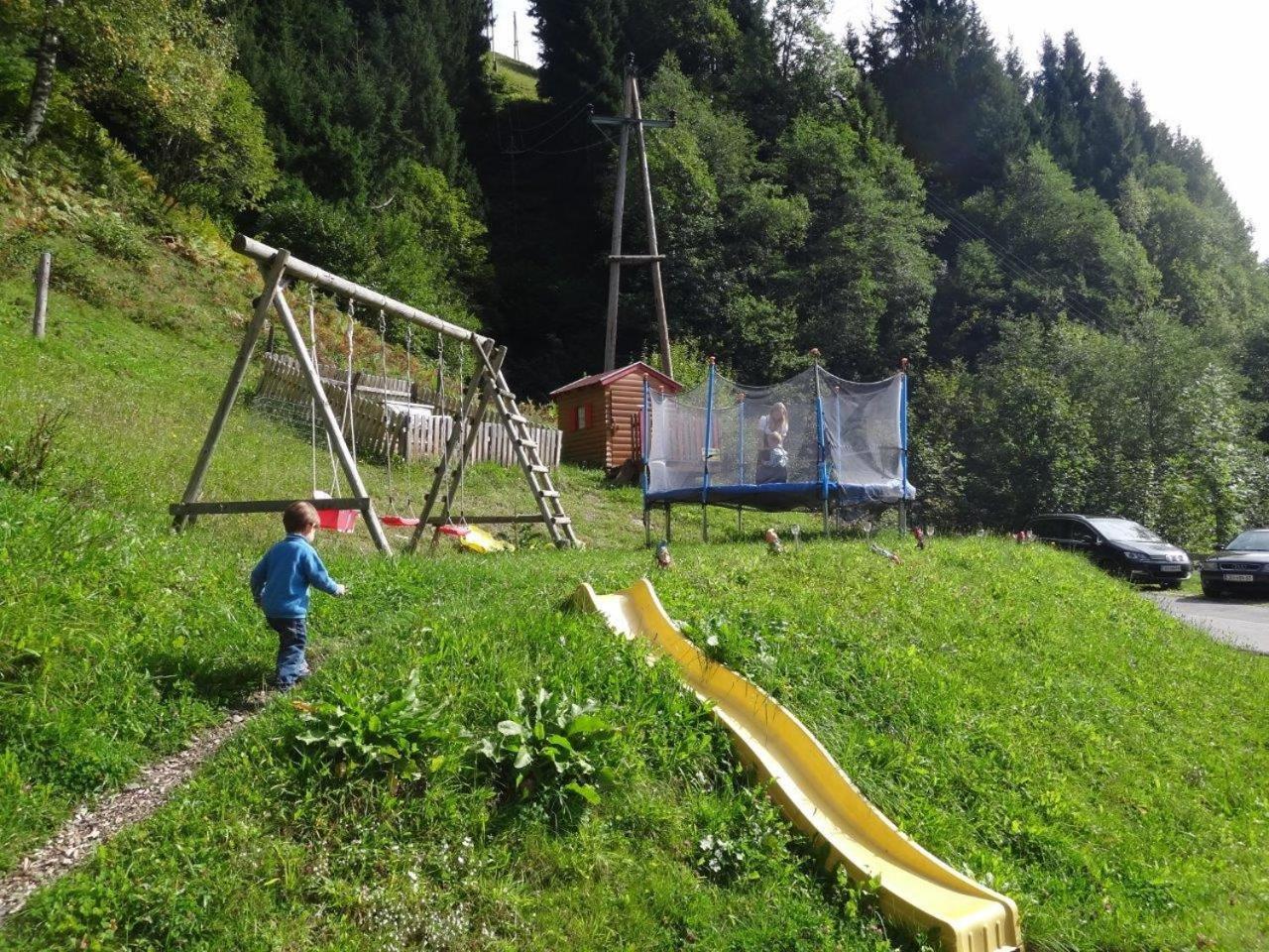 Photo 15