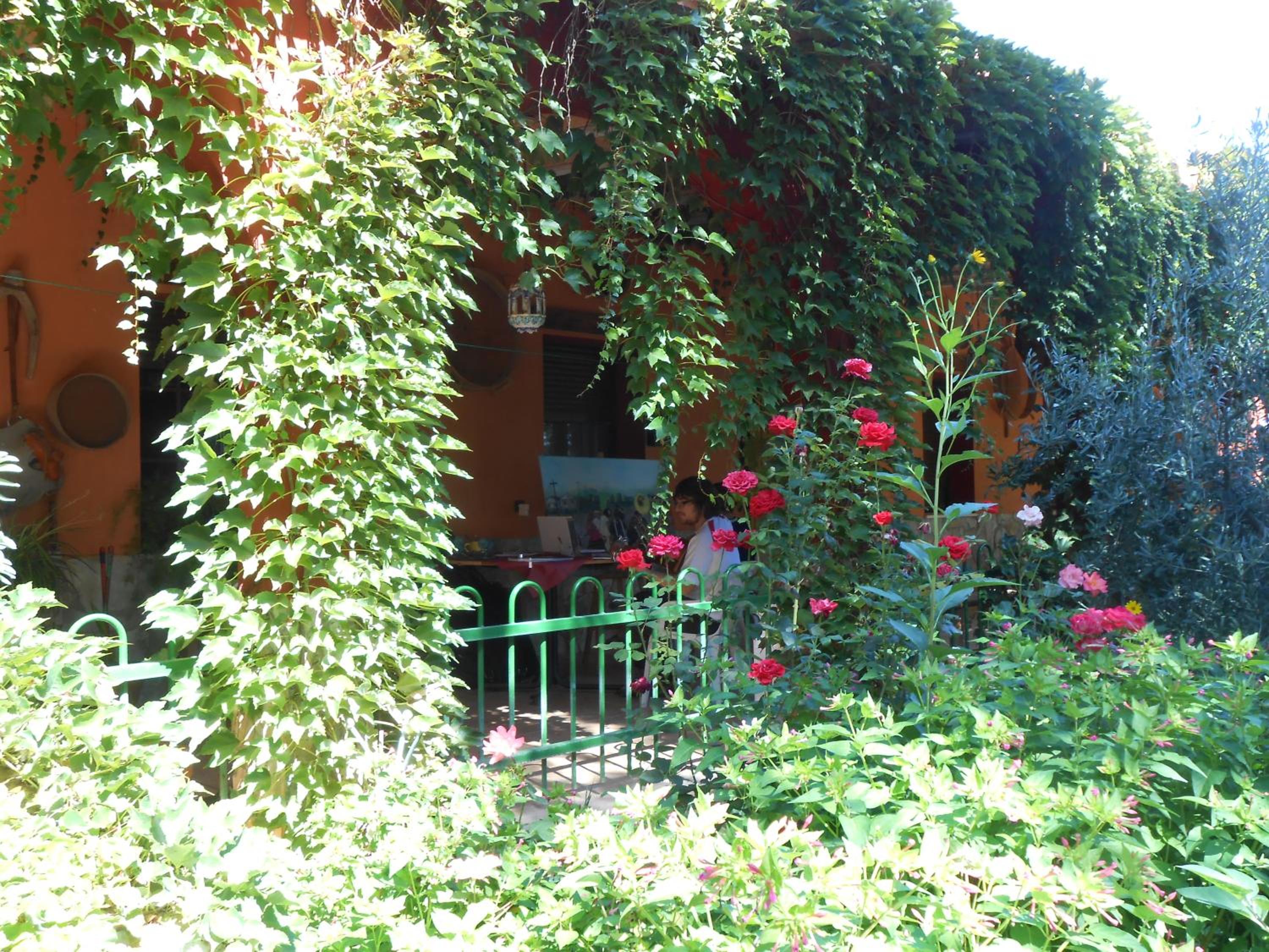 Photo 20