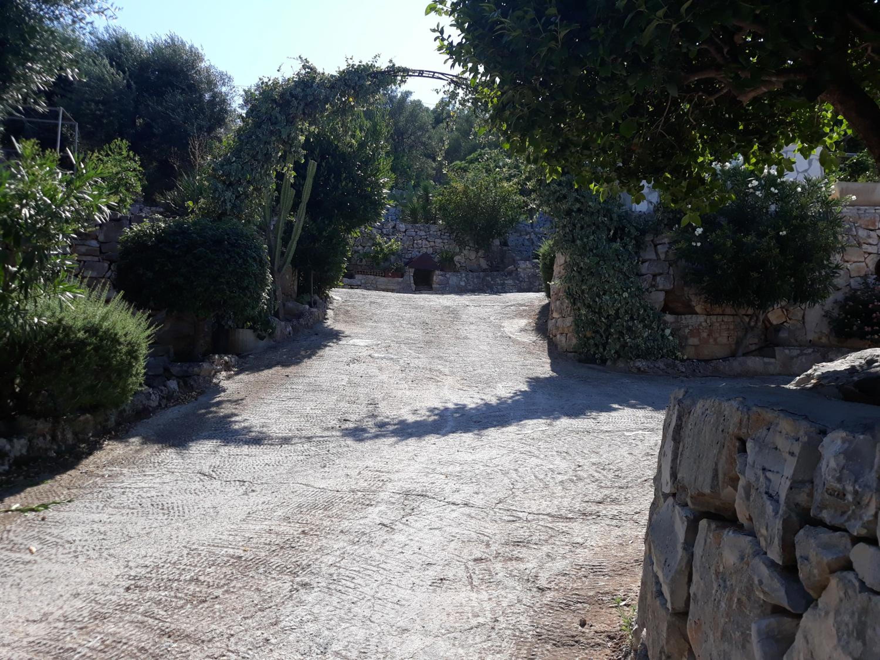 Photo 41