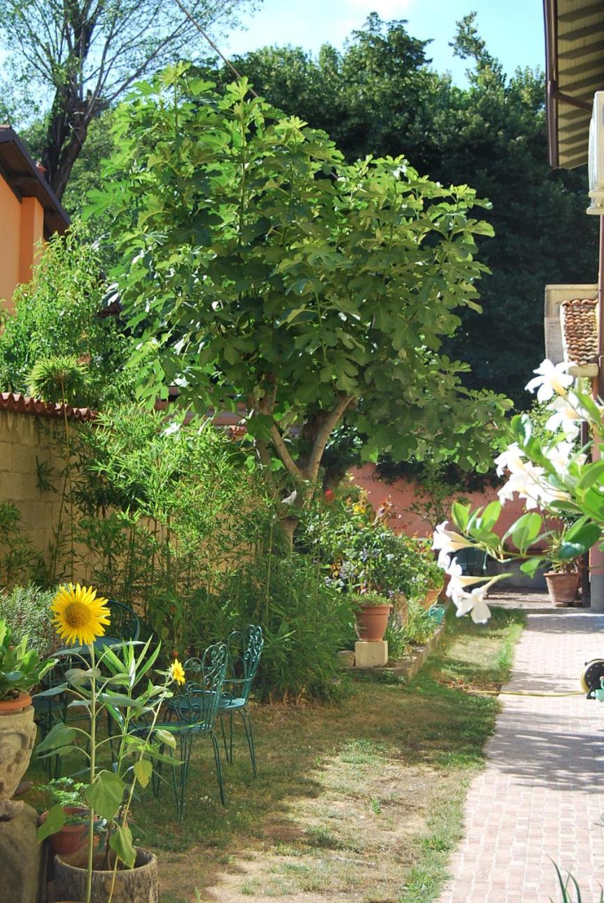 Bergamo Bassa photo 5
