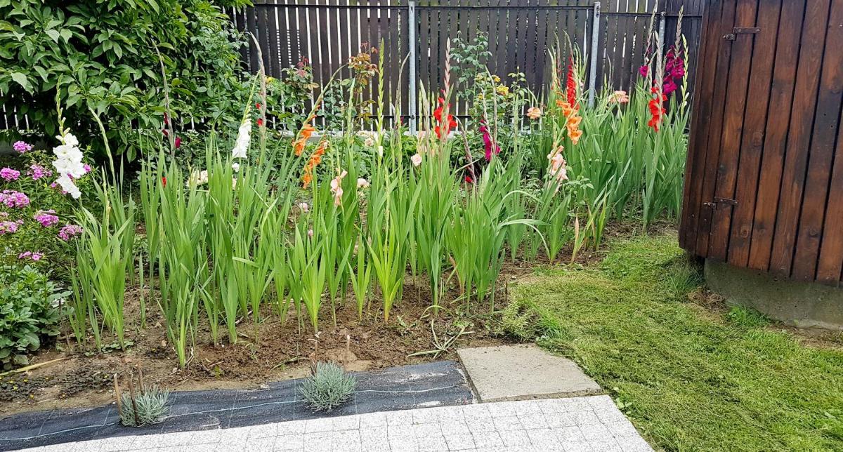 Photo 22