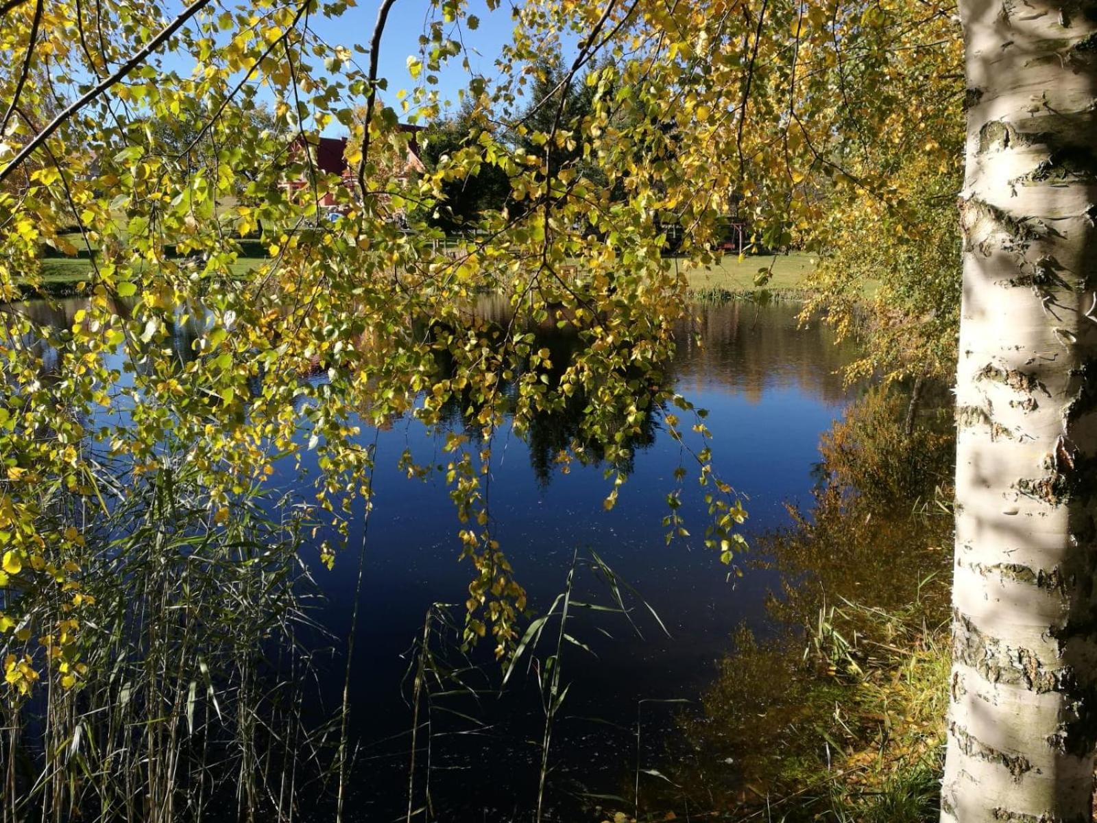 Wydrza-Przystań view 5