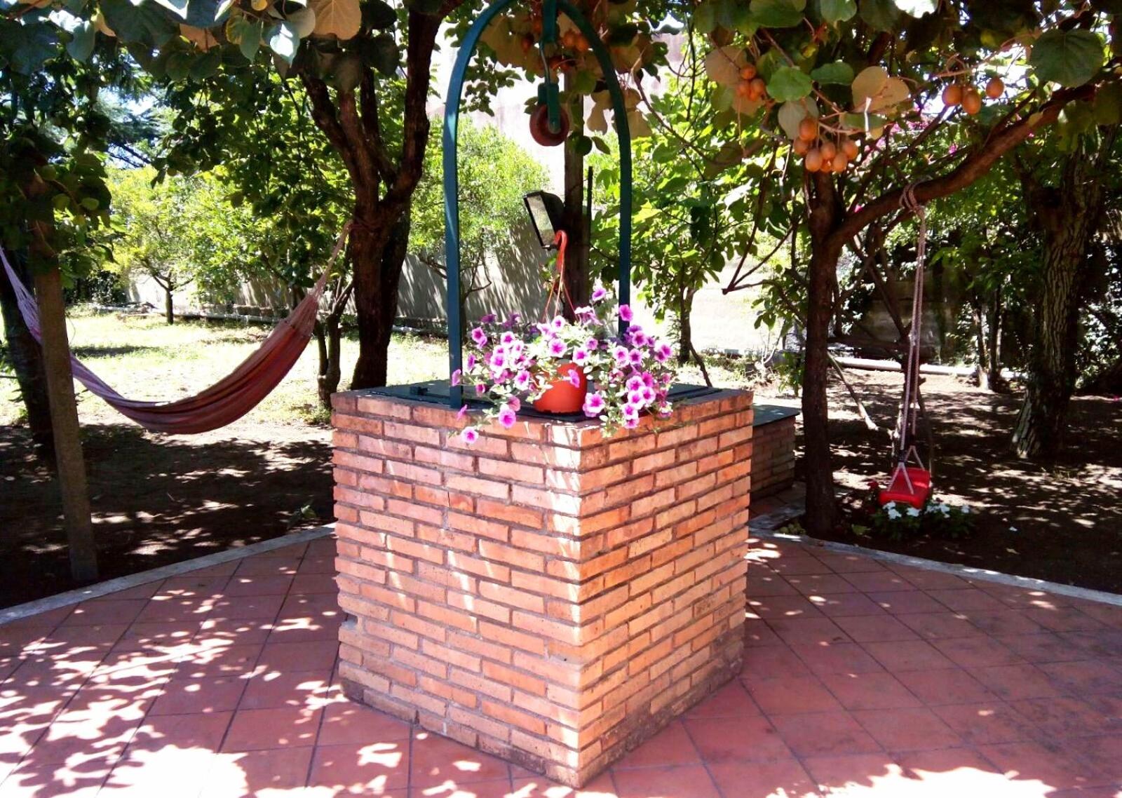 Photo 28
