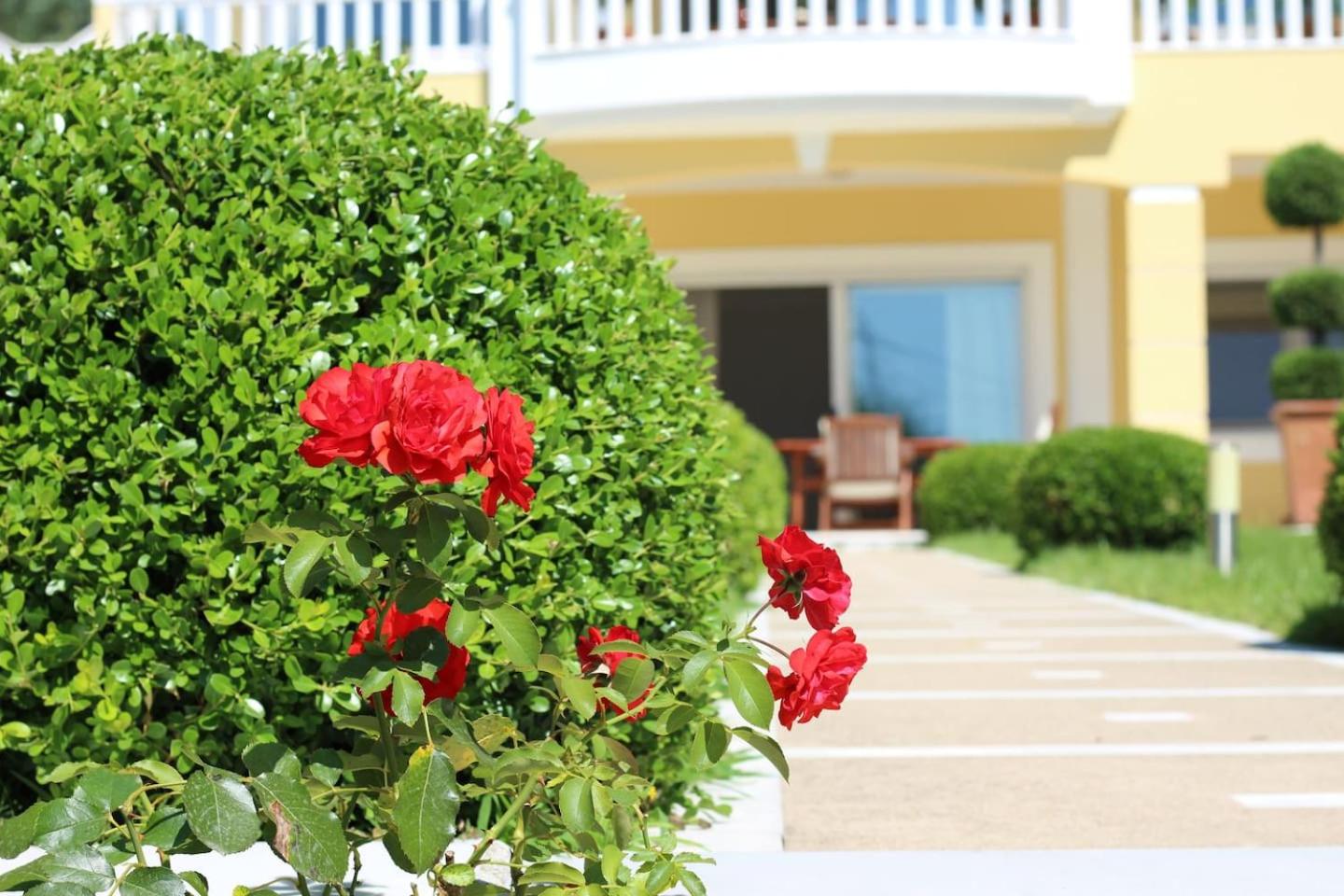 Shemesh Gardens House view 5