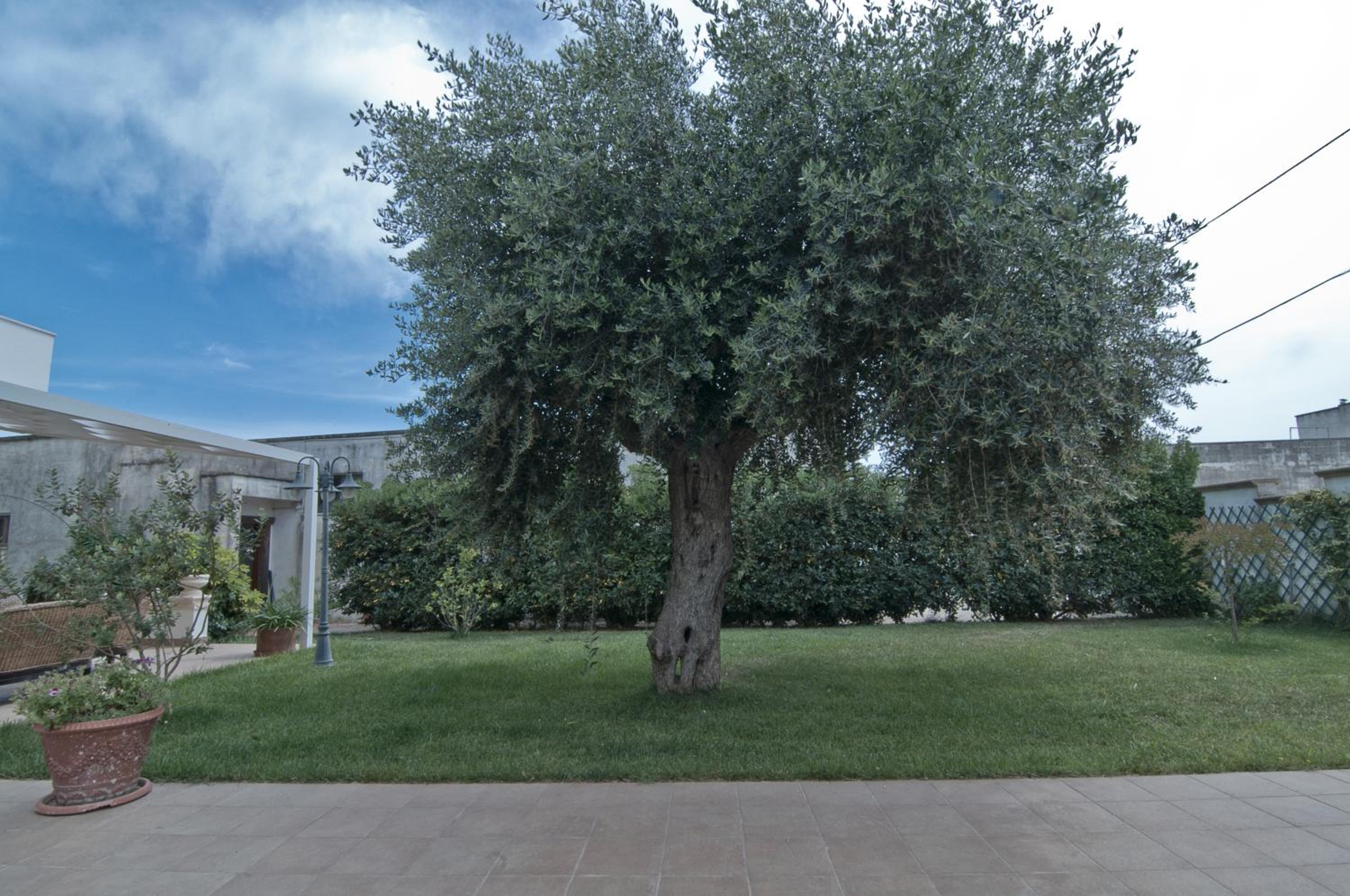 Giardino Dei Suoni B&B