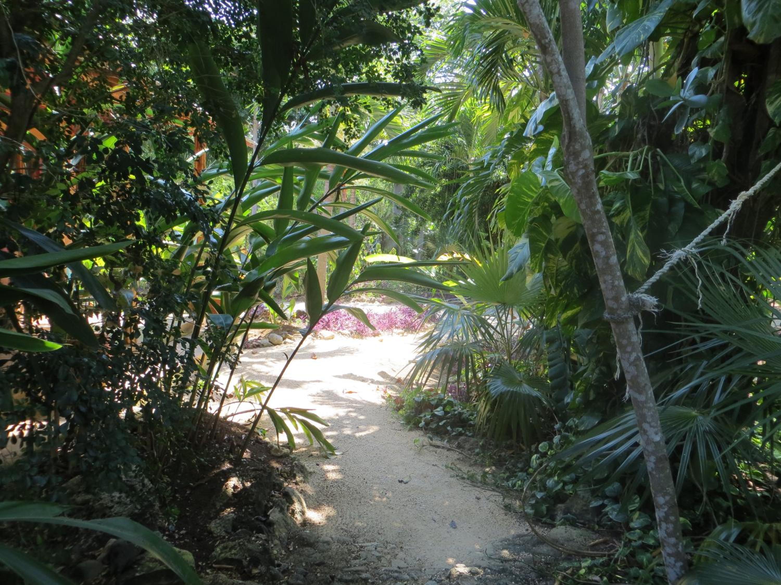 Tingalaya's Retreat