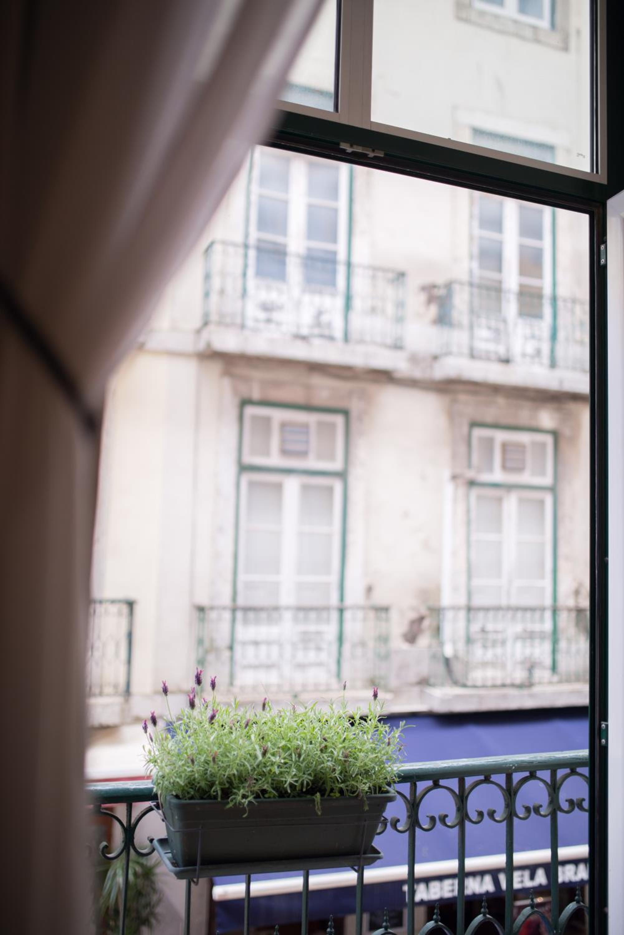 Classic Lisbon Downtown Apartment view 5