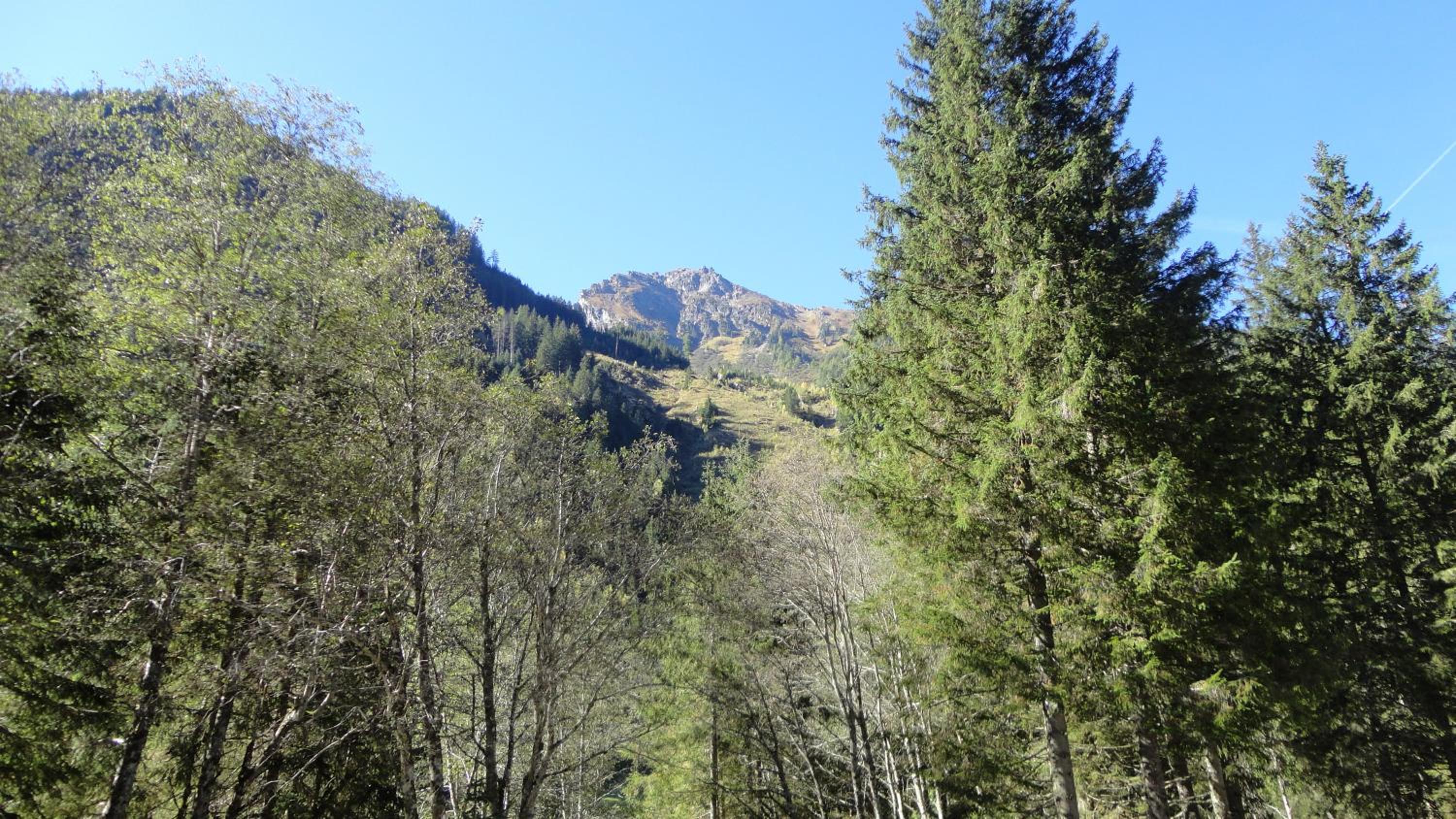 Photo 20